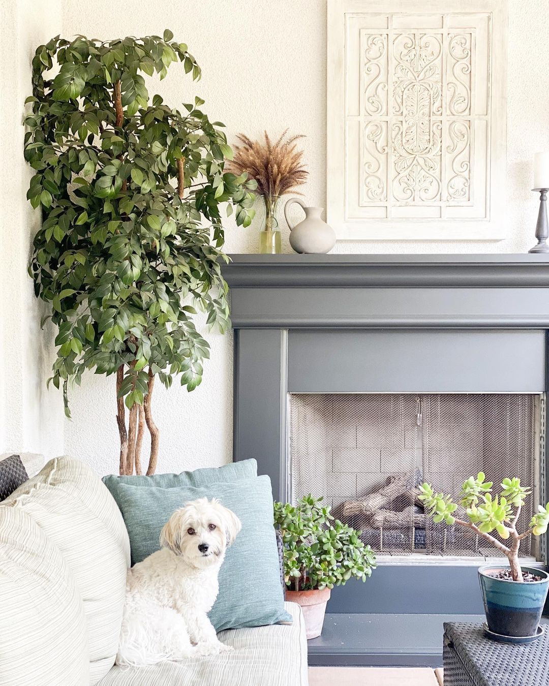 7.5’ Super Deluxe Ficus Tree - Image 4