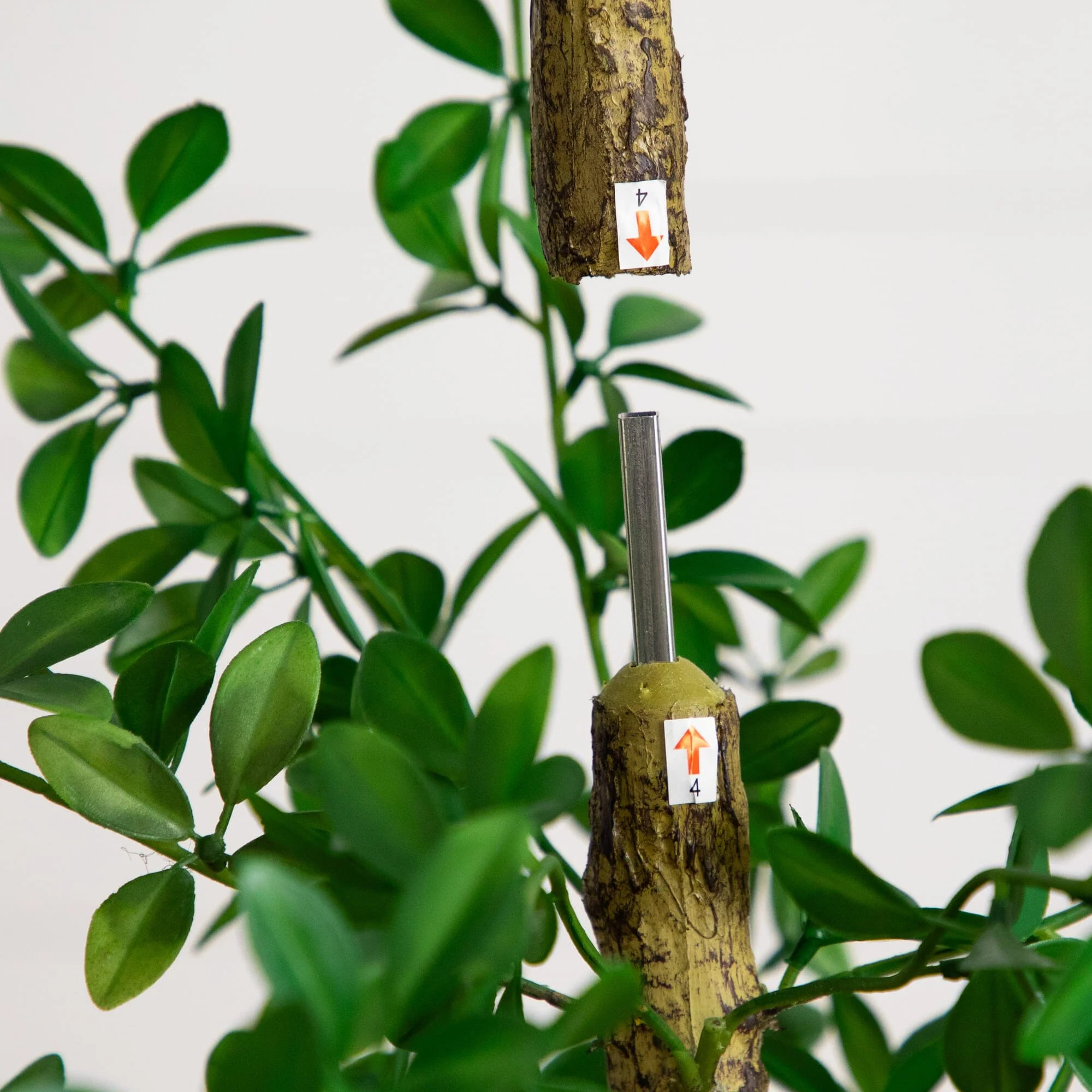 7' Artificial Shady Lady Black Olive Tree - Image 4