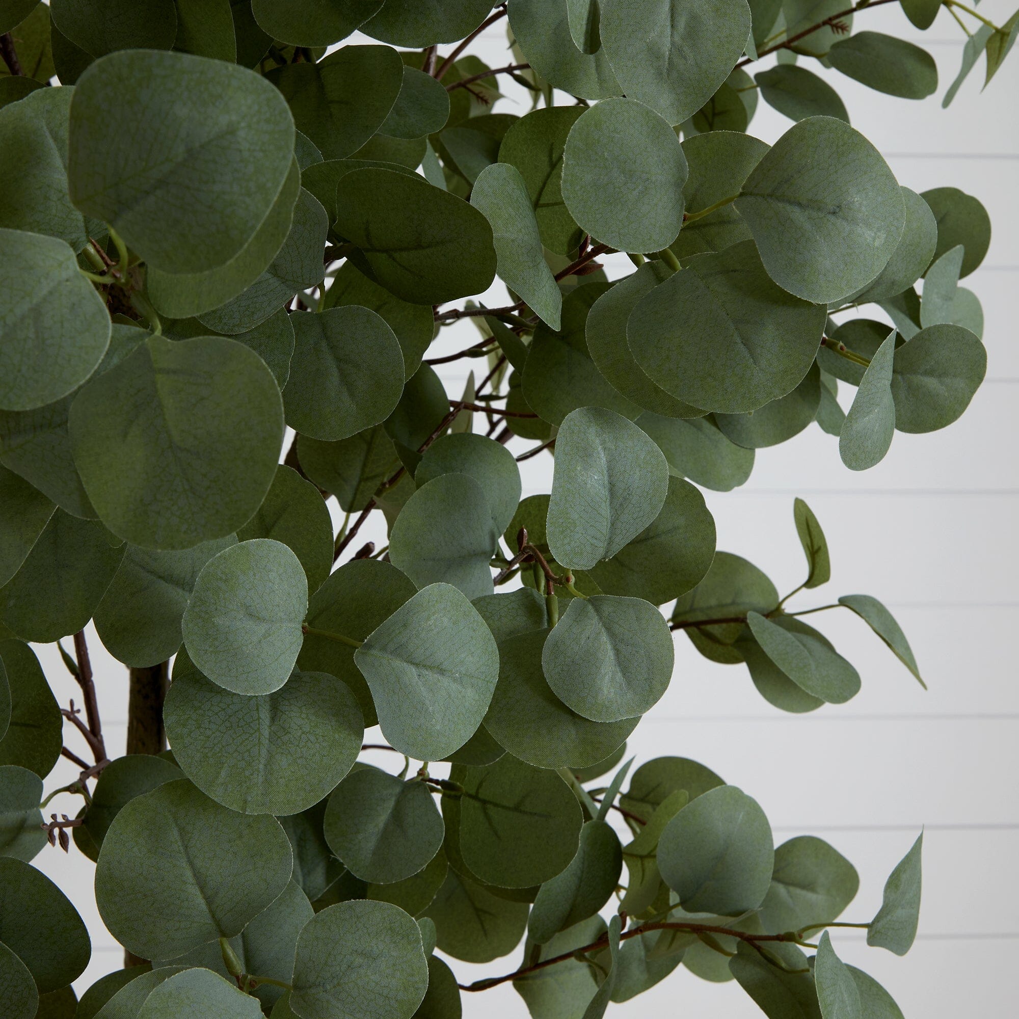 7’ Artificial Eucalyptus Tree - Image 2