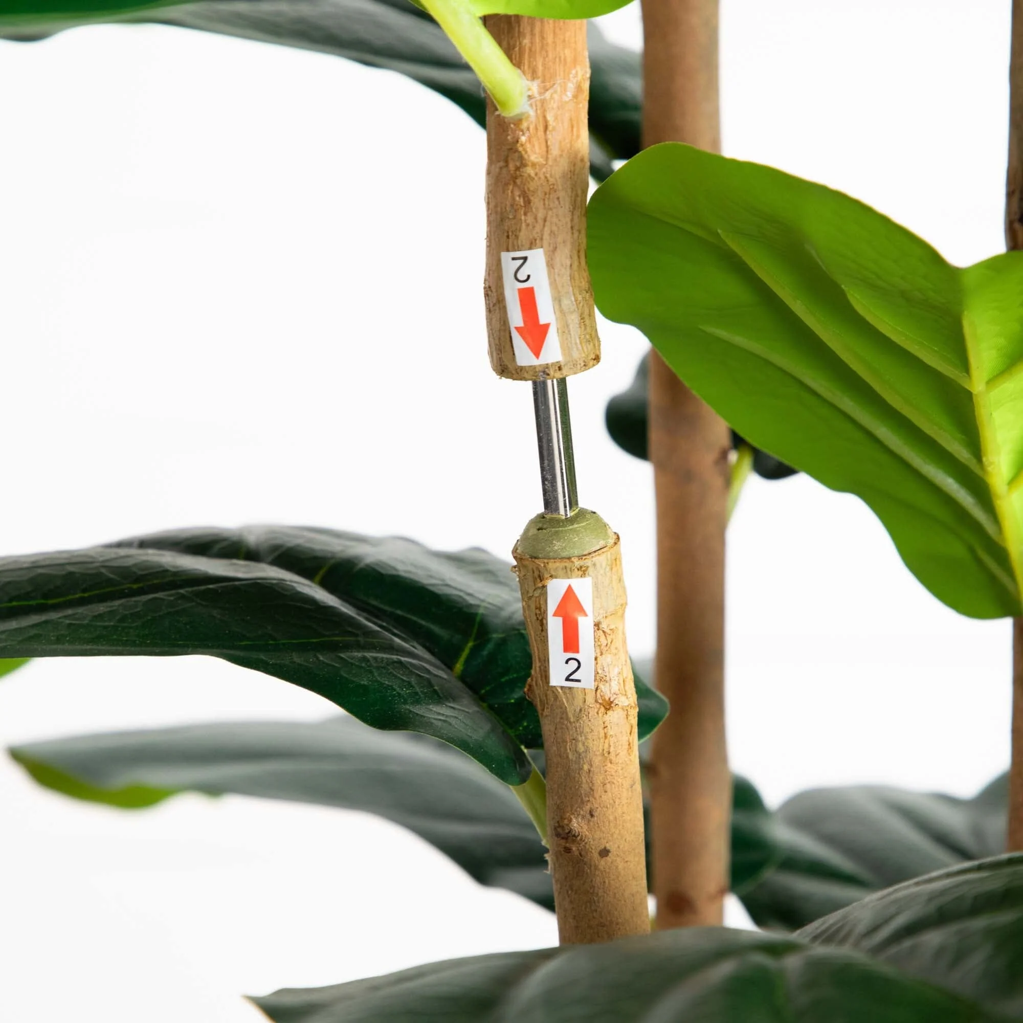 7’ Artificial Fiddle Leaf Tree in Decorative White Planter - Image 5