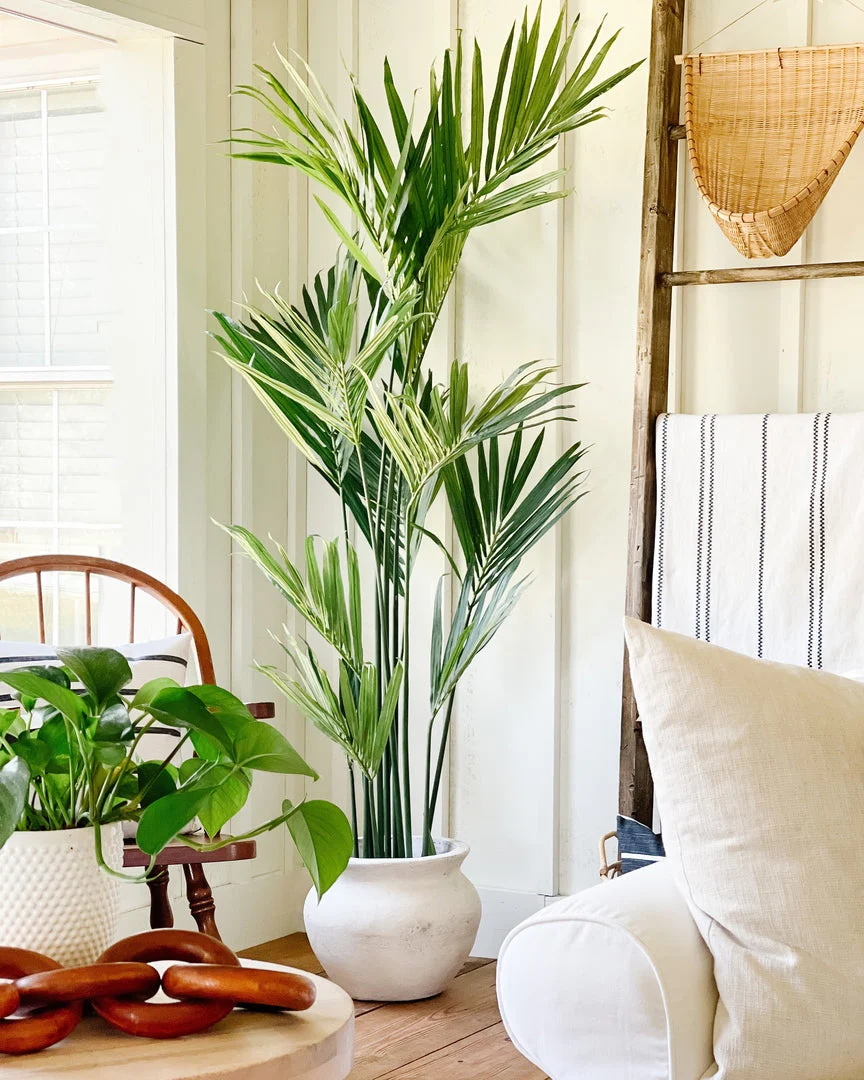 7' Artificial Kentia Palm Silk Tree - Image 4