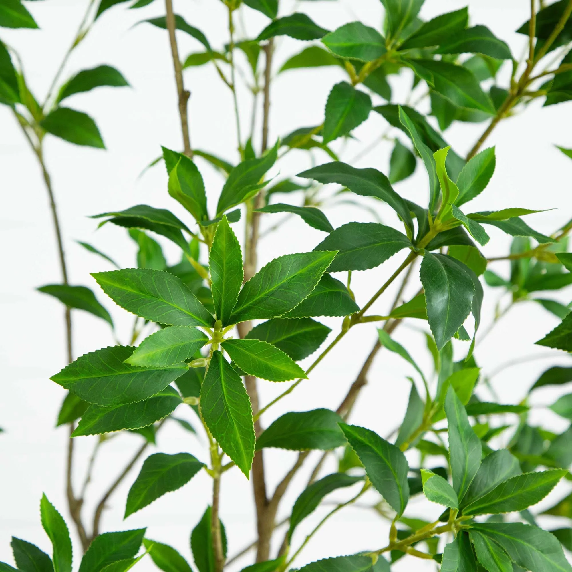 7’ Artificial Minimalist Japanese Pieris Tree - Image 2