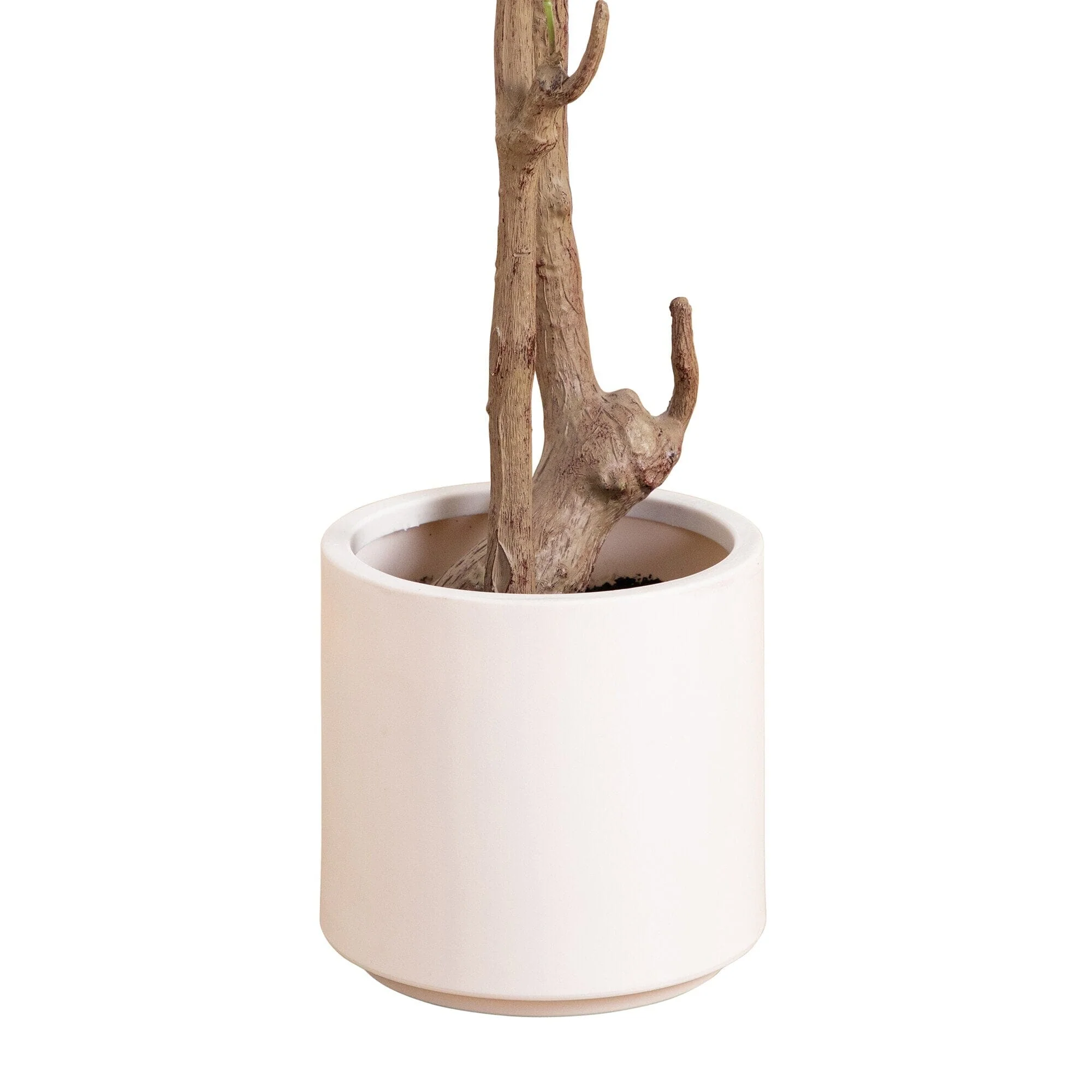 7’ Artificial Minimalist Olive Tree in White Decorative Planter - Image 6