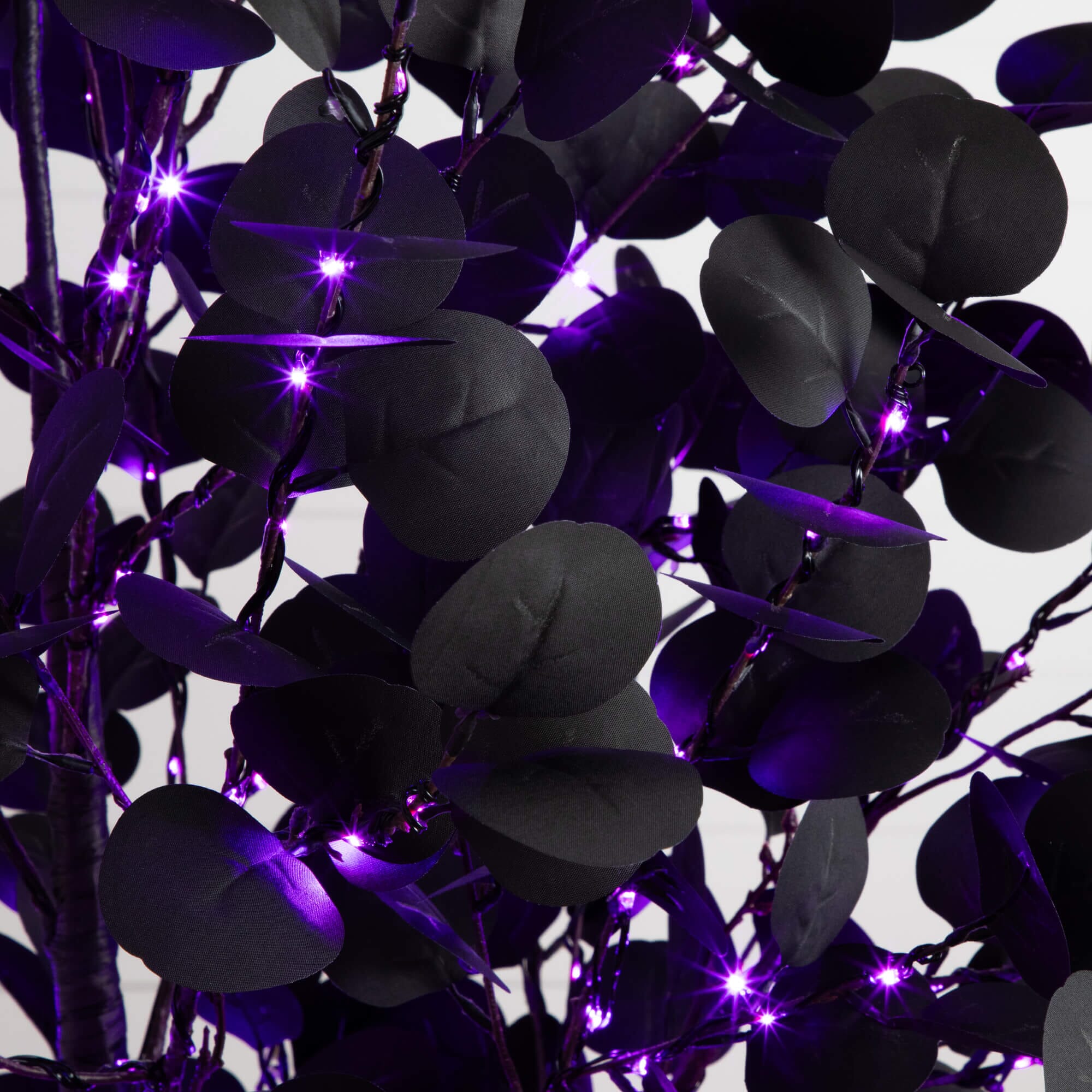 7' Pre-Lit Artificial Halloween Black Eucalyptus Tree with 420 Orange & Purple LED Lights - Image 4