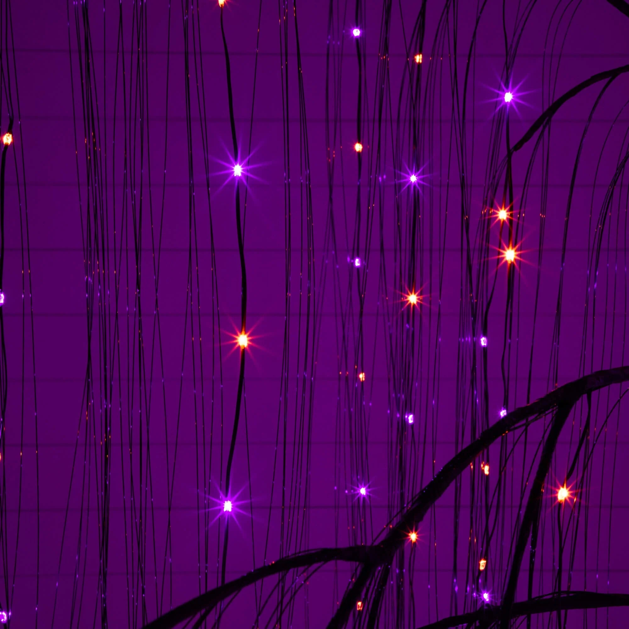 7' Pre-Lit Artificial Halloween Black Willow Tree with 600 Purple and Orange Dual Color LED Lights - Image 2