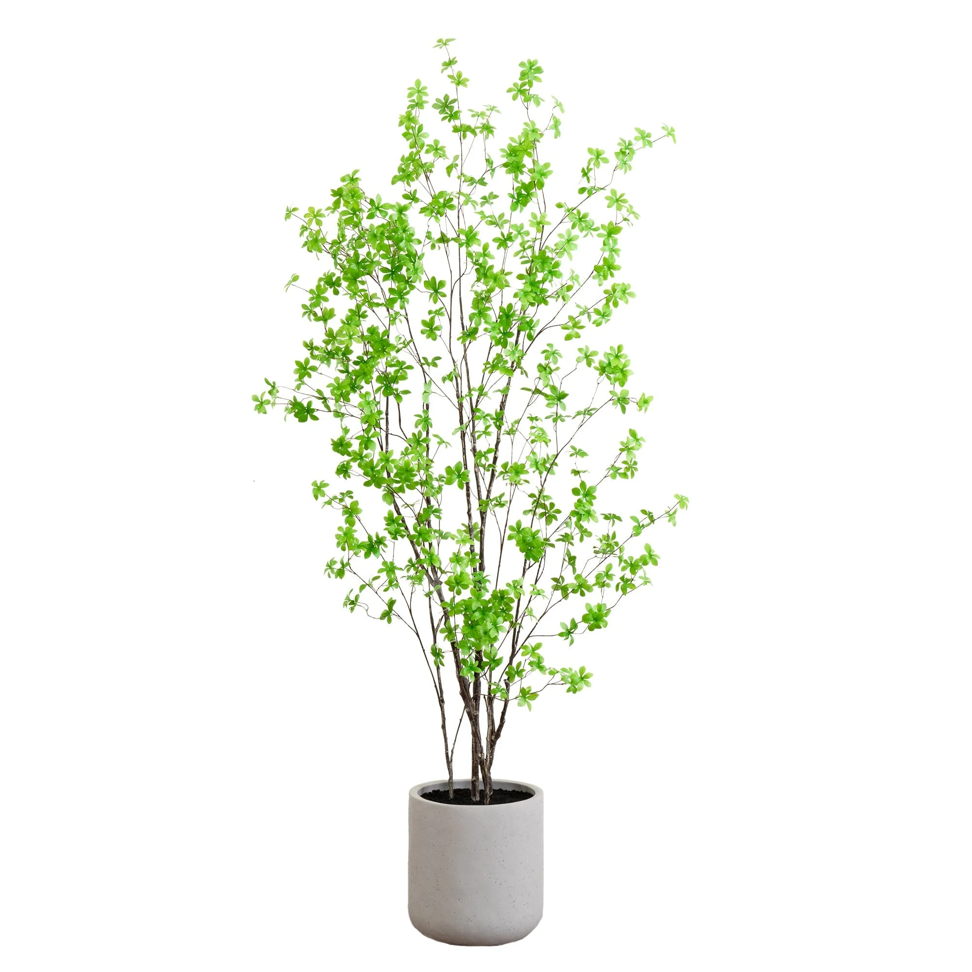 7’ Artificial Enkianthus Tree with Resin Stone Planter - Image 12