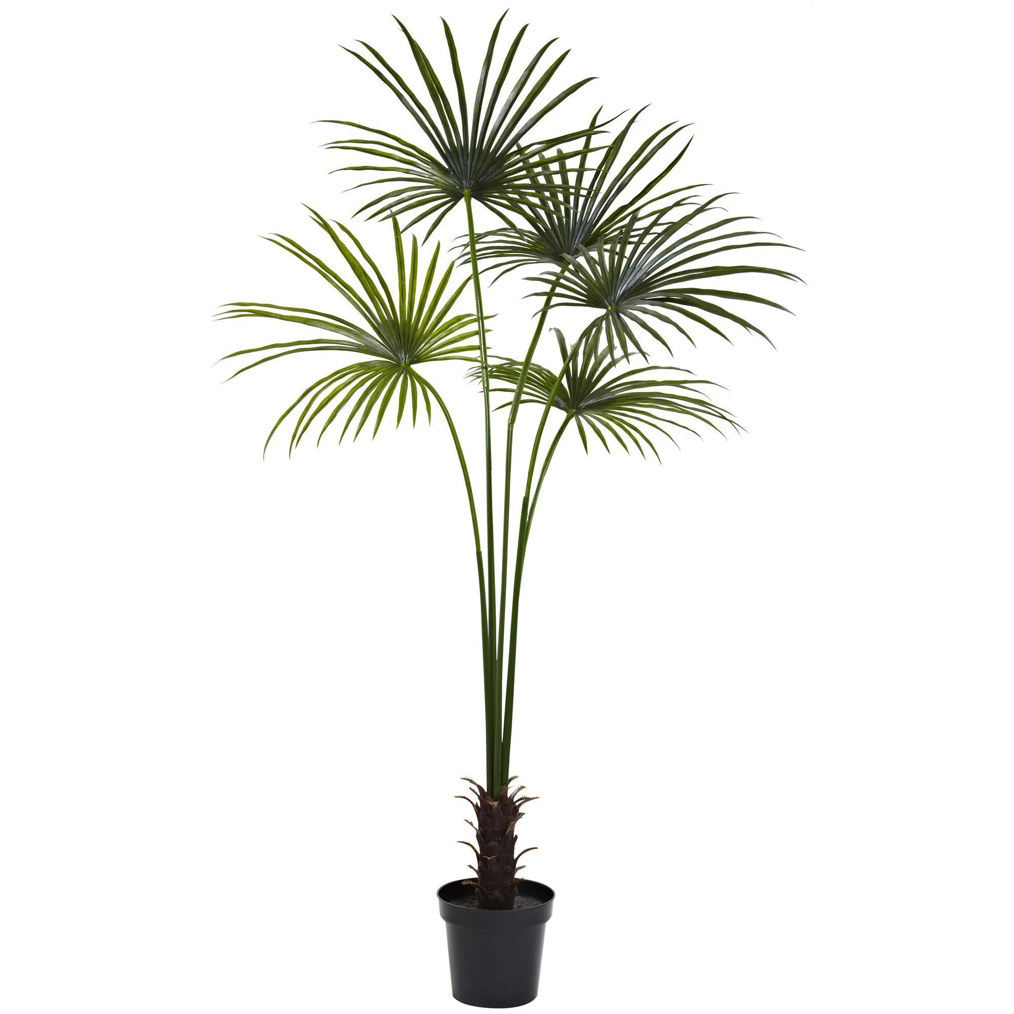 7’ Fan Palm Tree UV Resistant (Indoor/Outdoor) - Image 7