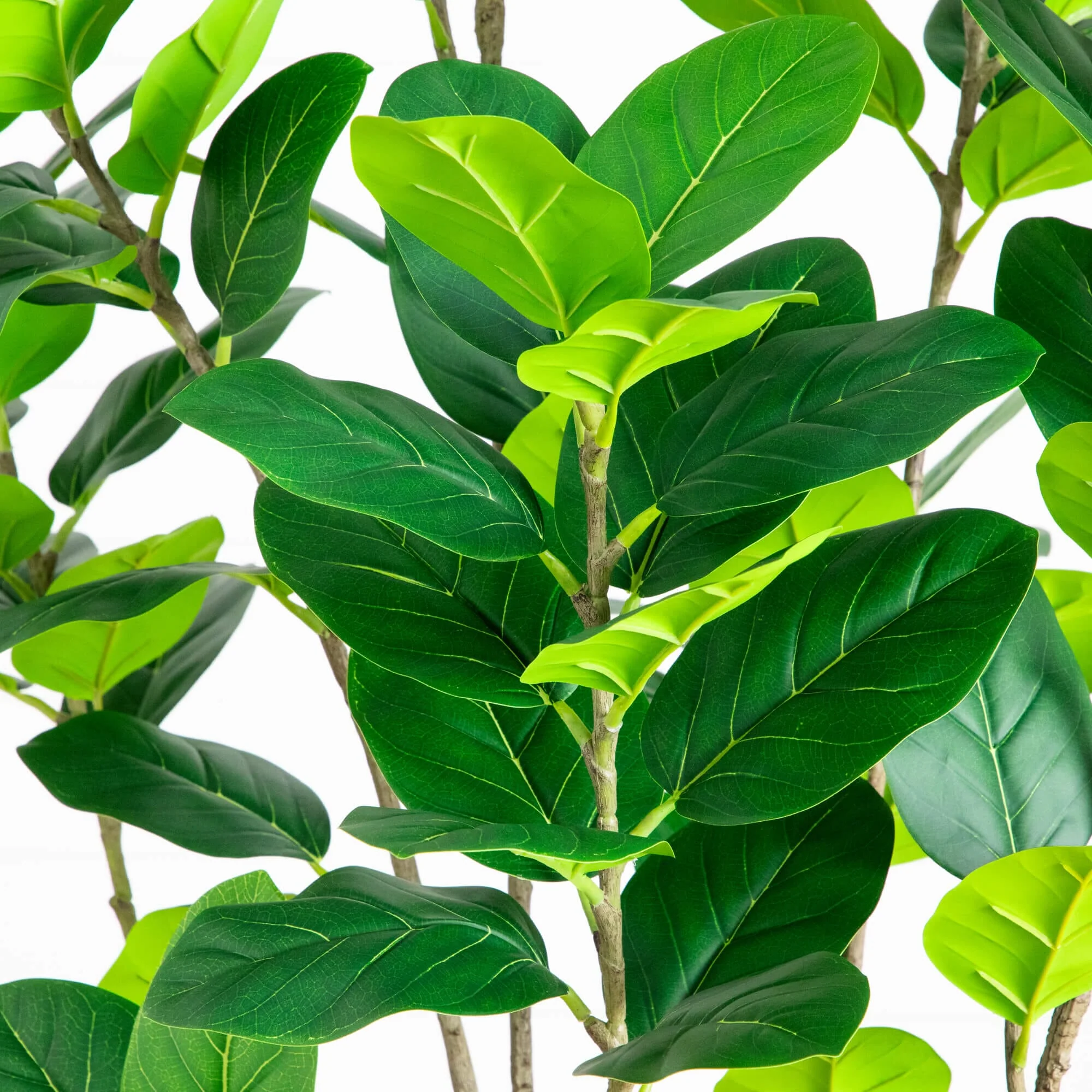 7' Artificial Minimalist Audrey Ficus Tree - Image 4