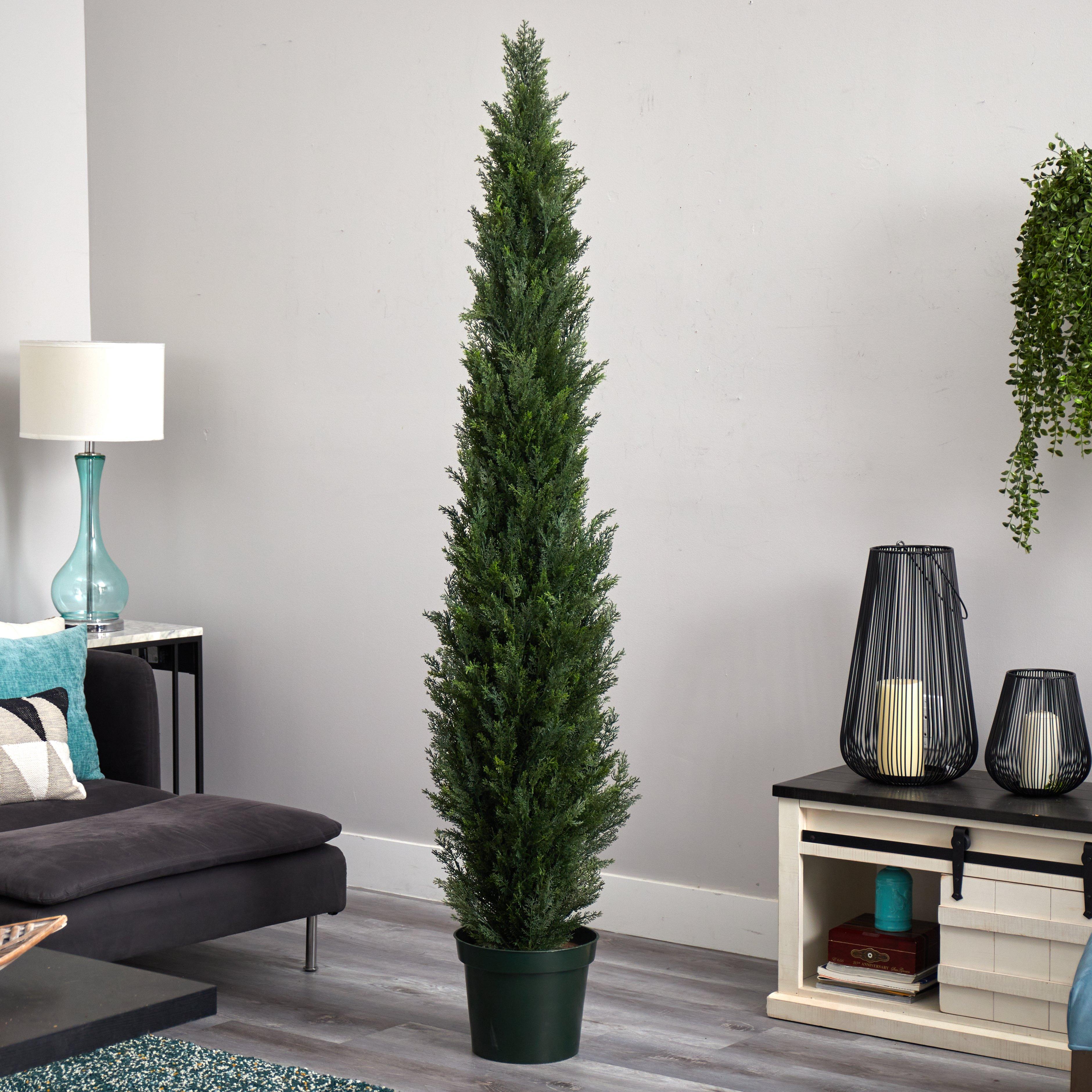 7' Mini Cedar Pine Tree (Indoor/Outdoor) - Image 3
