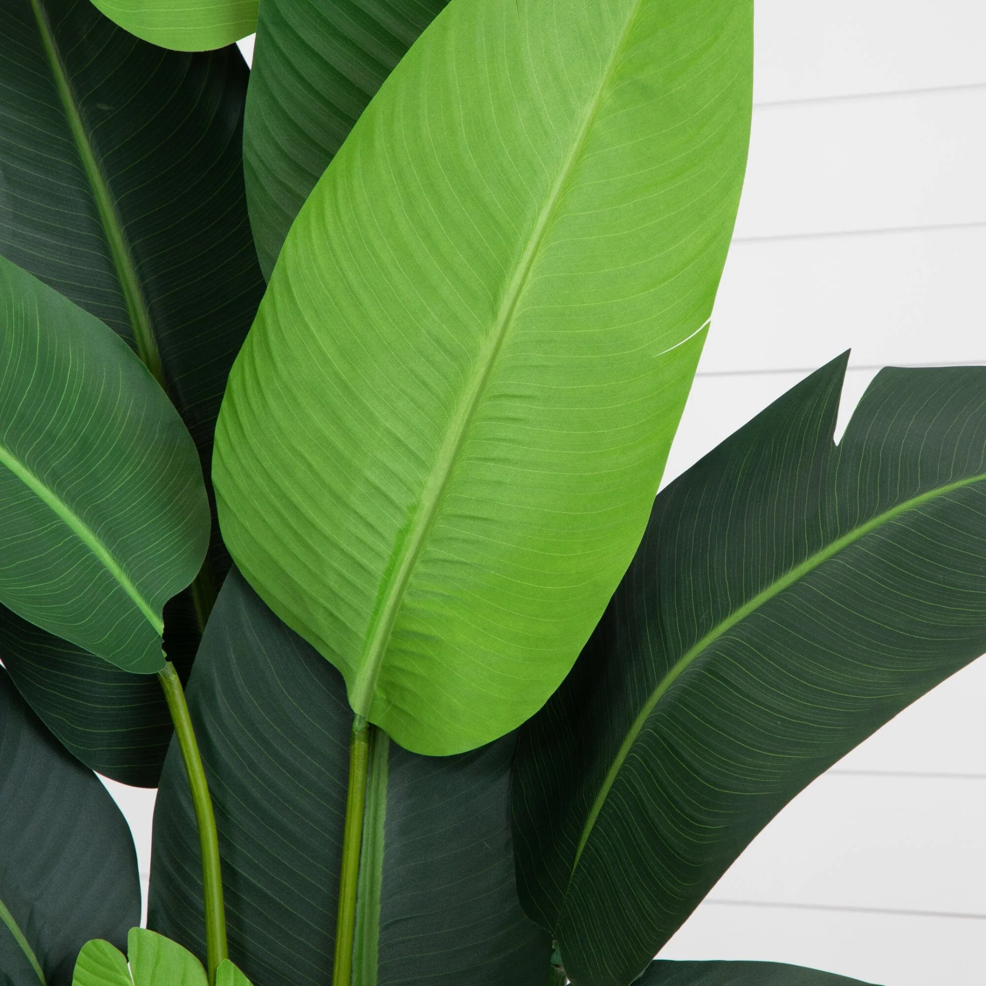 7' Travelers Palm Artificial Tree - Image 2