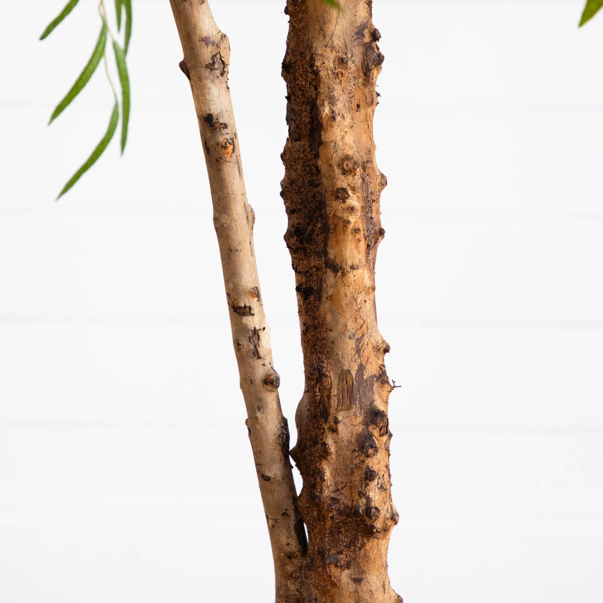 7’ Willow Artificial Tree - Image 5