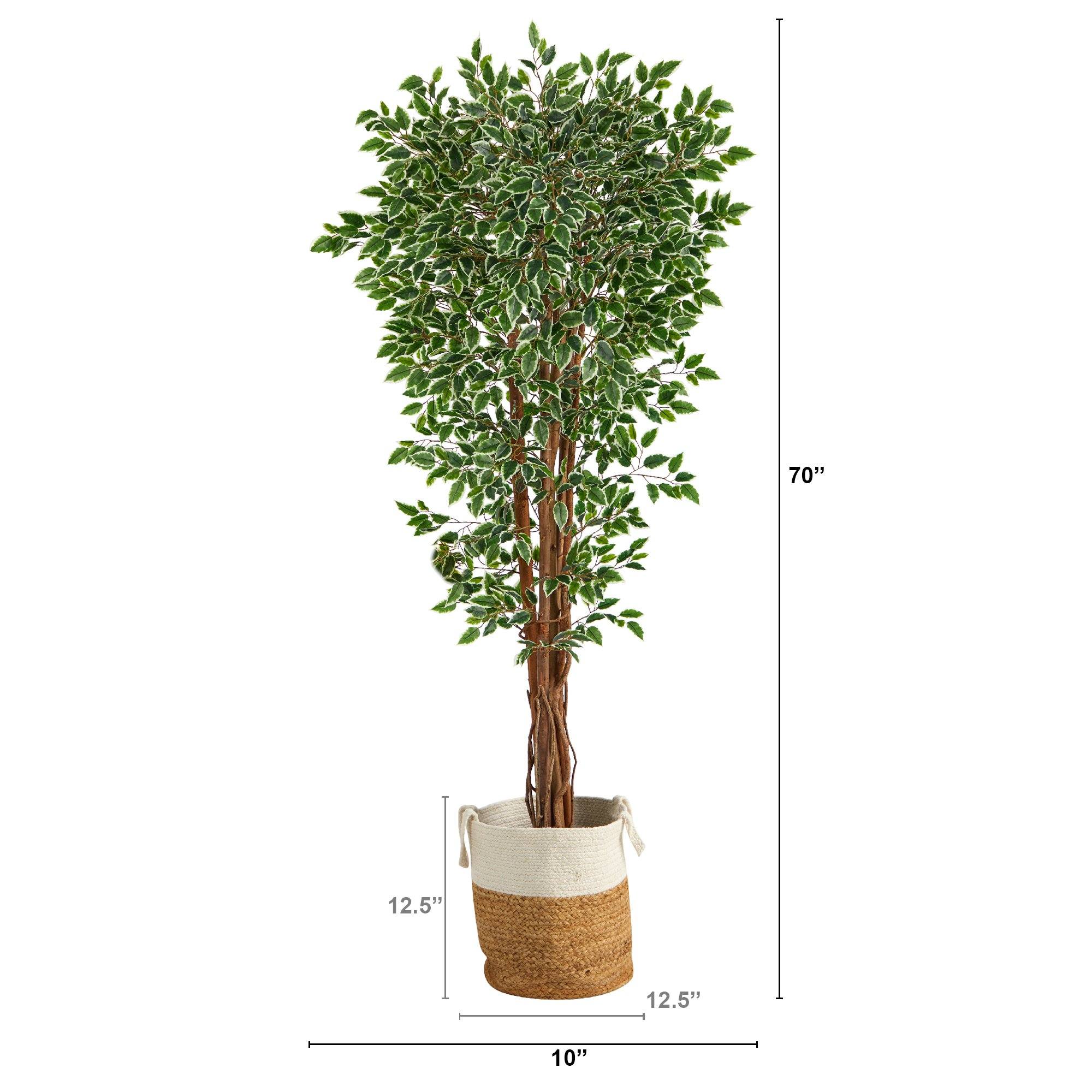70” Variegated Ficus Tree in Handmade Jute and Cotton Planter UV Resistant (Indoor/Outdoor) - Image 2