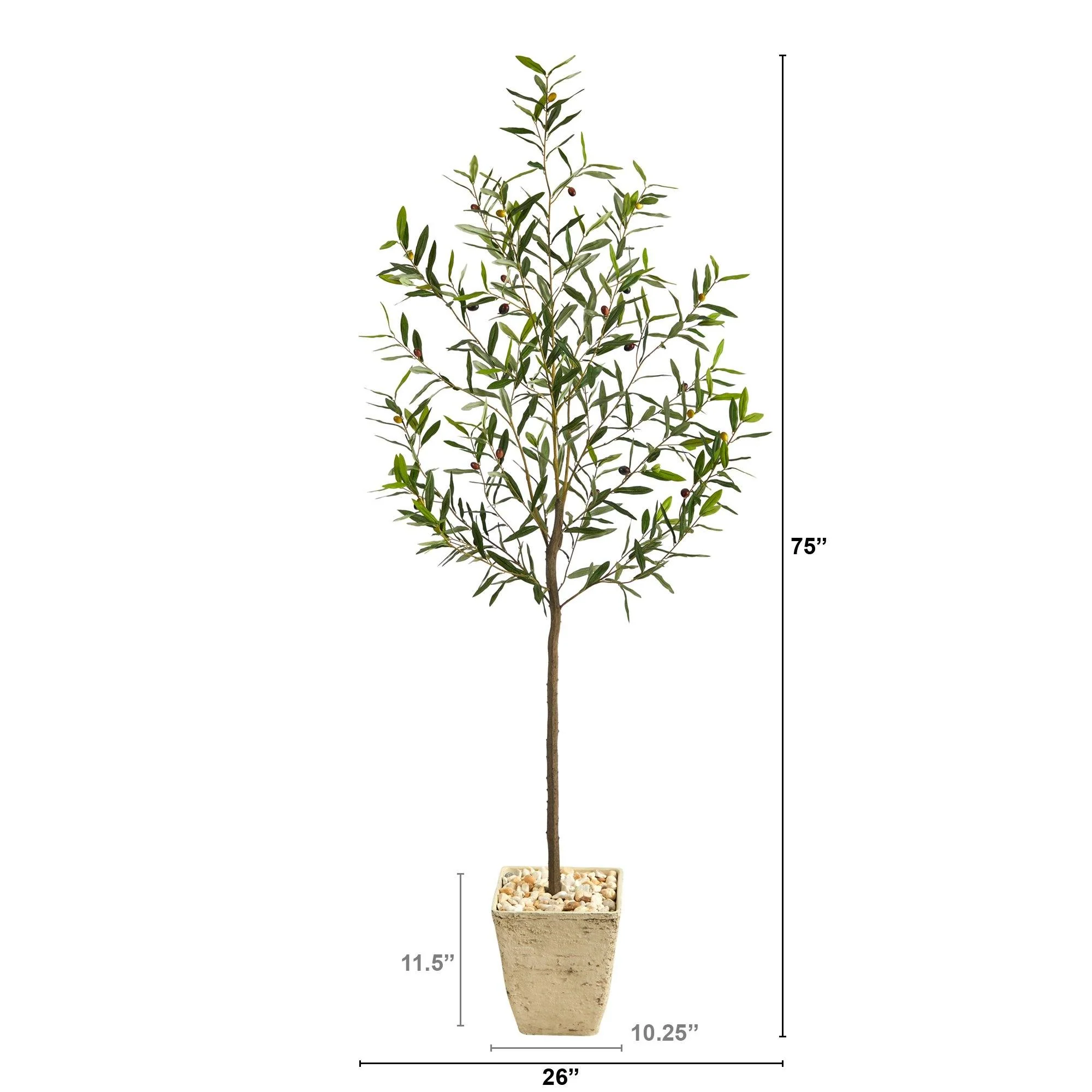 75” Olive Artificial Tree in Country White Planter - Image 2