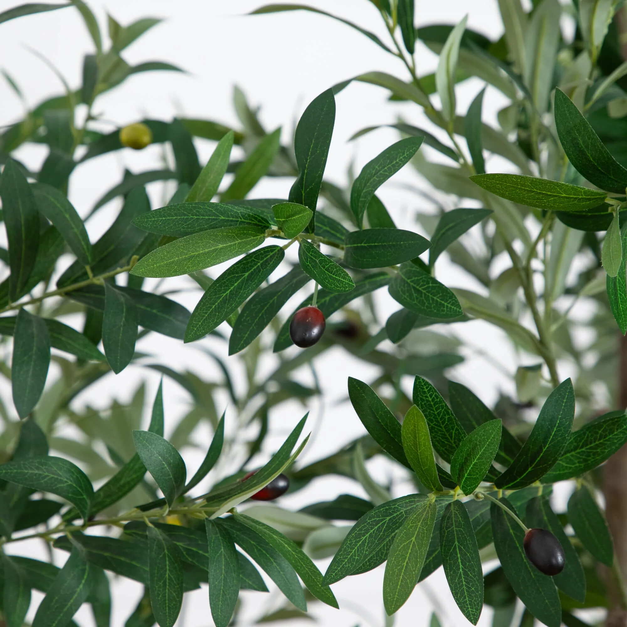8’ Artificial Grand Olive Tree in White Decorative Planter - Image 2