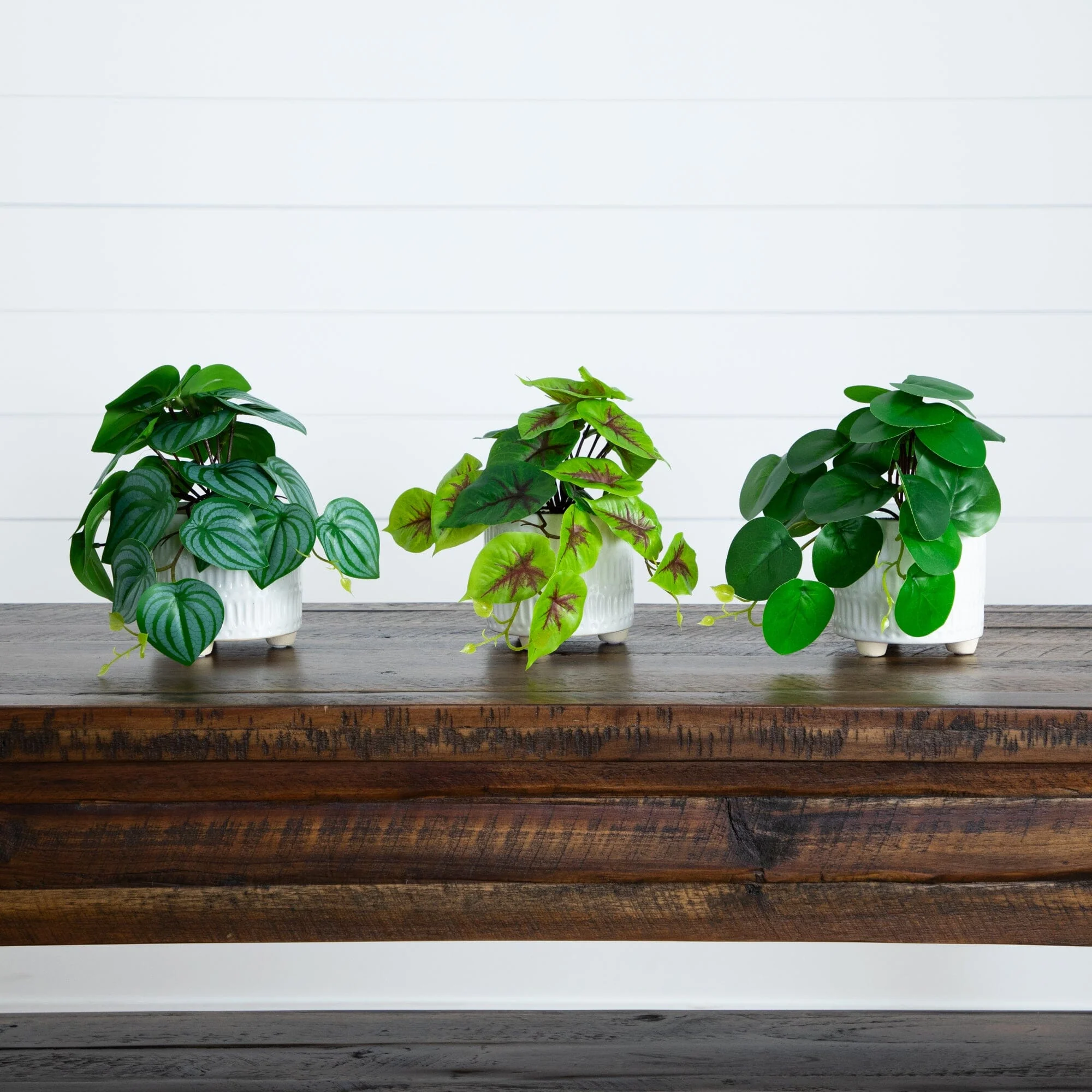 8” Artificial Mixed Greens in Ceramic Planter- Set of 3 - Image 3