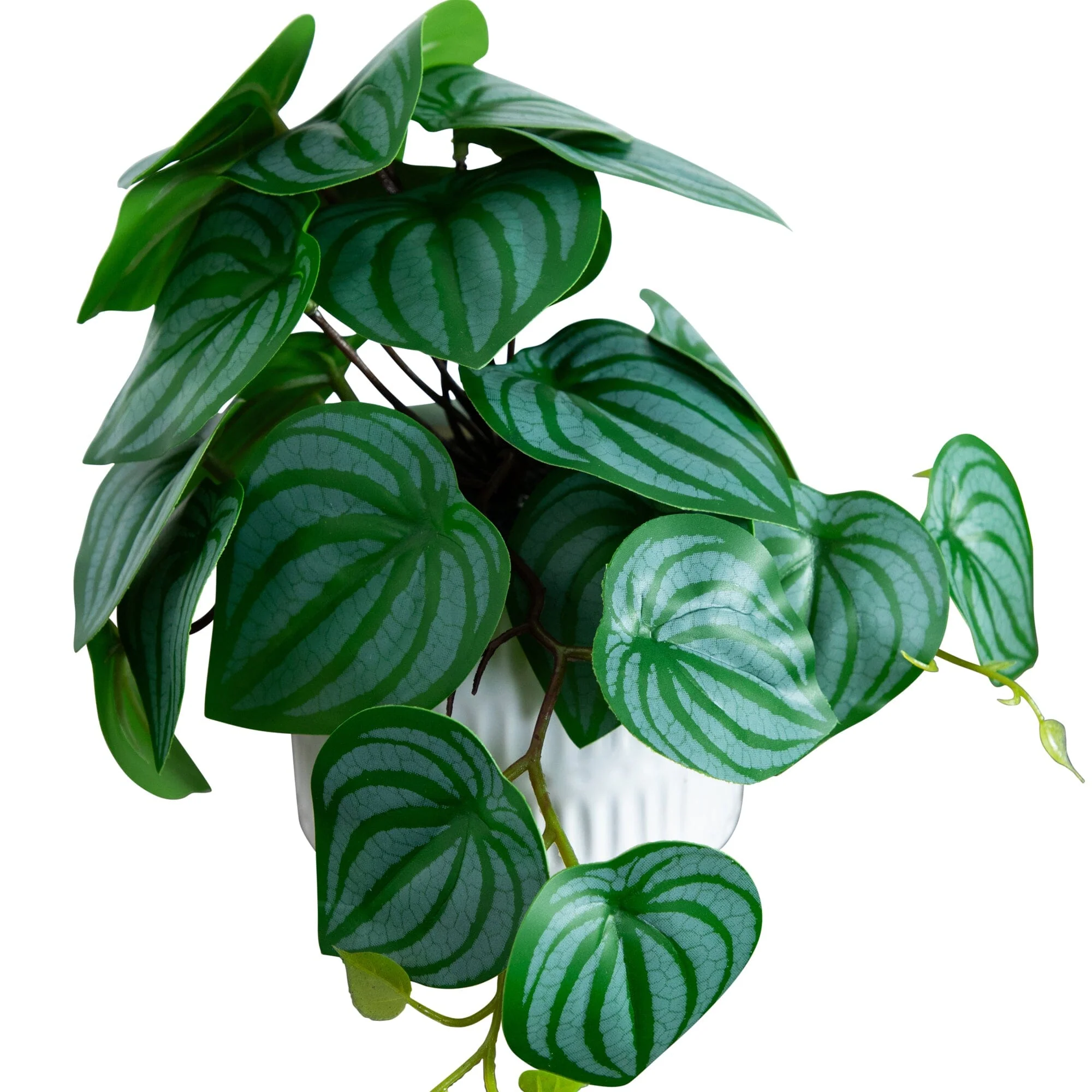 8” Artificial Mixed Greens in Ceramic Planter- Set of 3 - Image 4