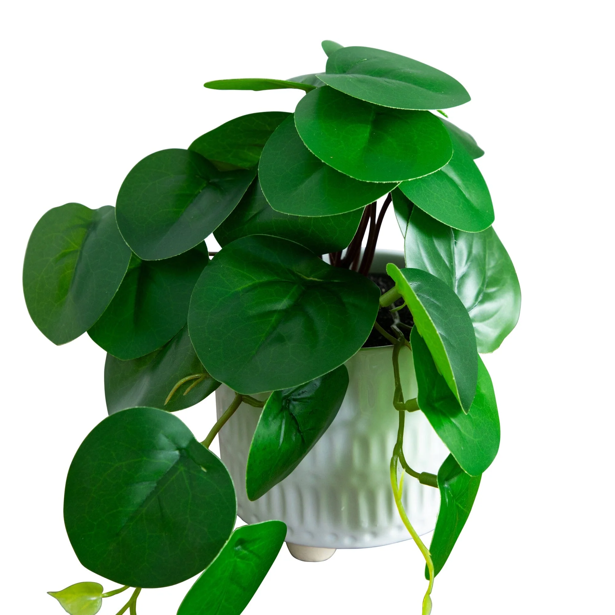 8” Artificial Mixed Greens in Ceramic Planter- Set of 3 - Image 7