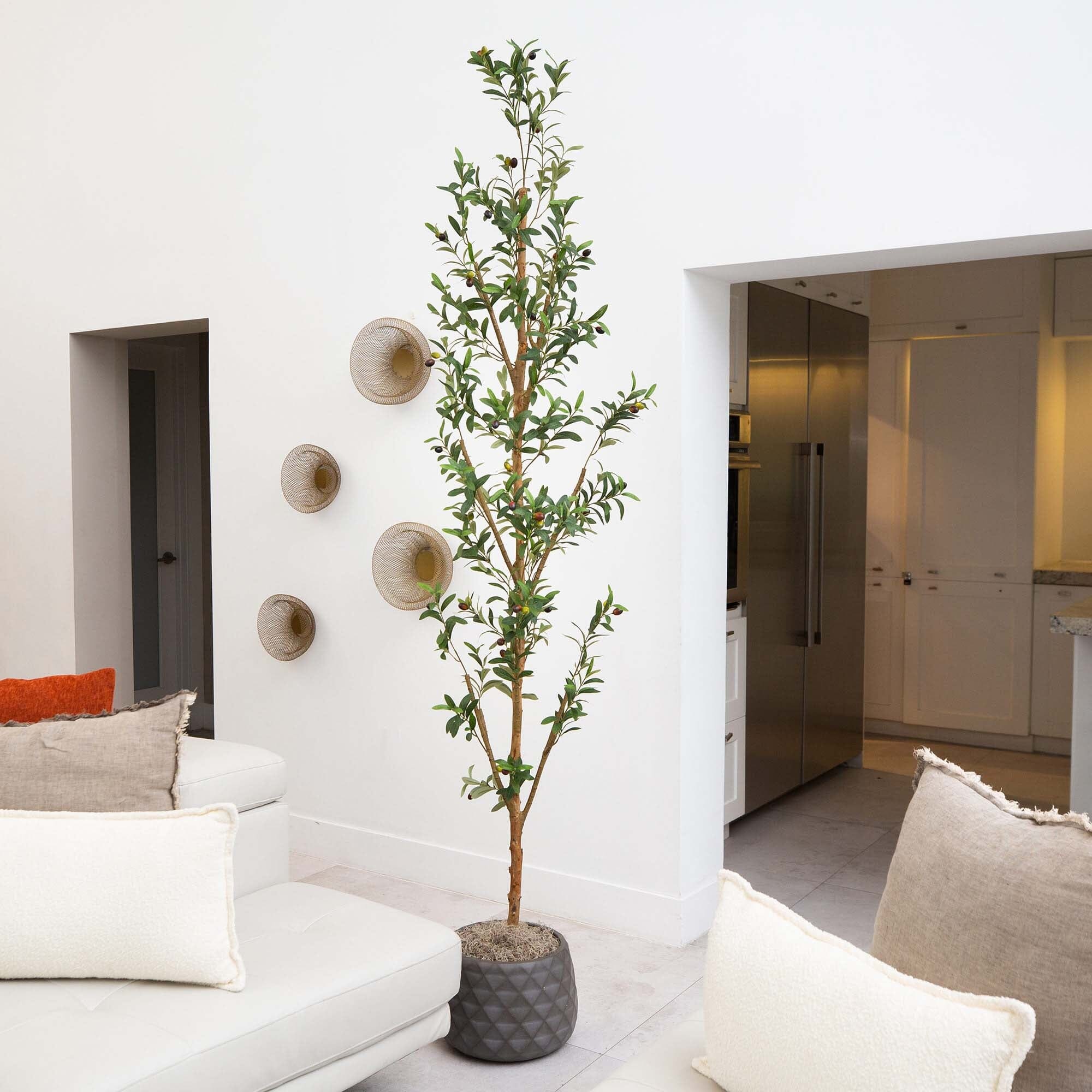 8' Artificial Olive Tree with Natural Trunk - Image 3