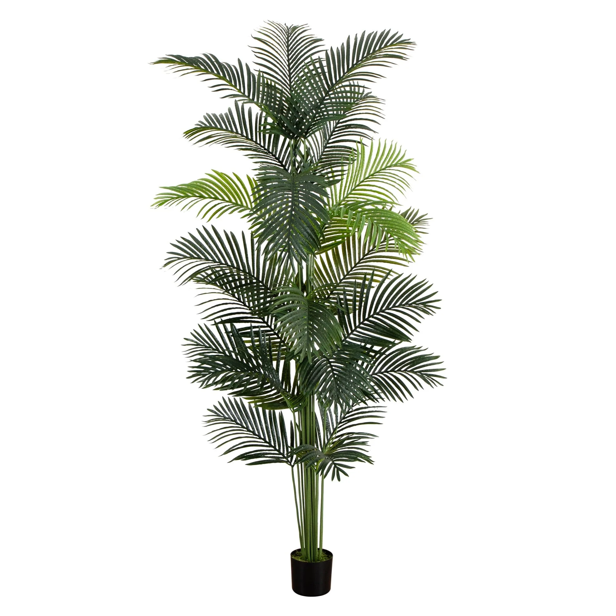 8’ Artificial Paradise Palm Tree - Image 7