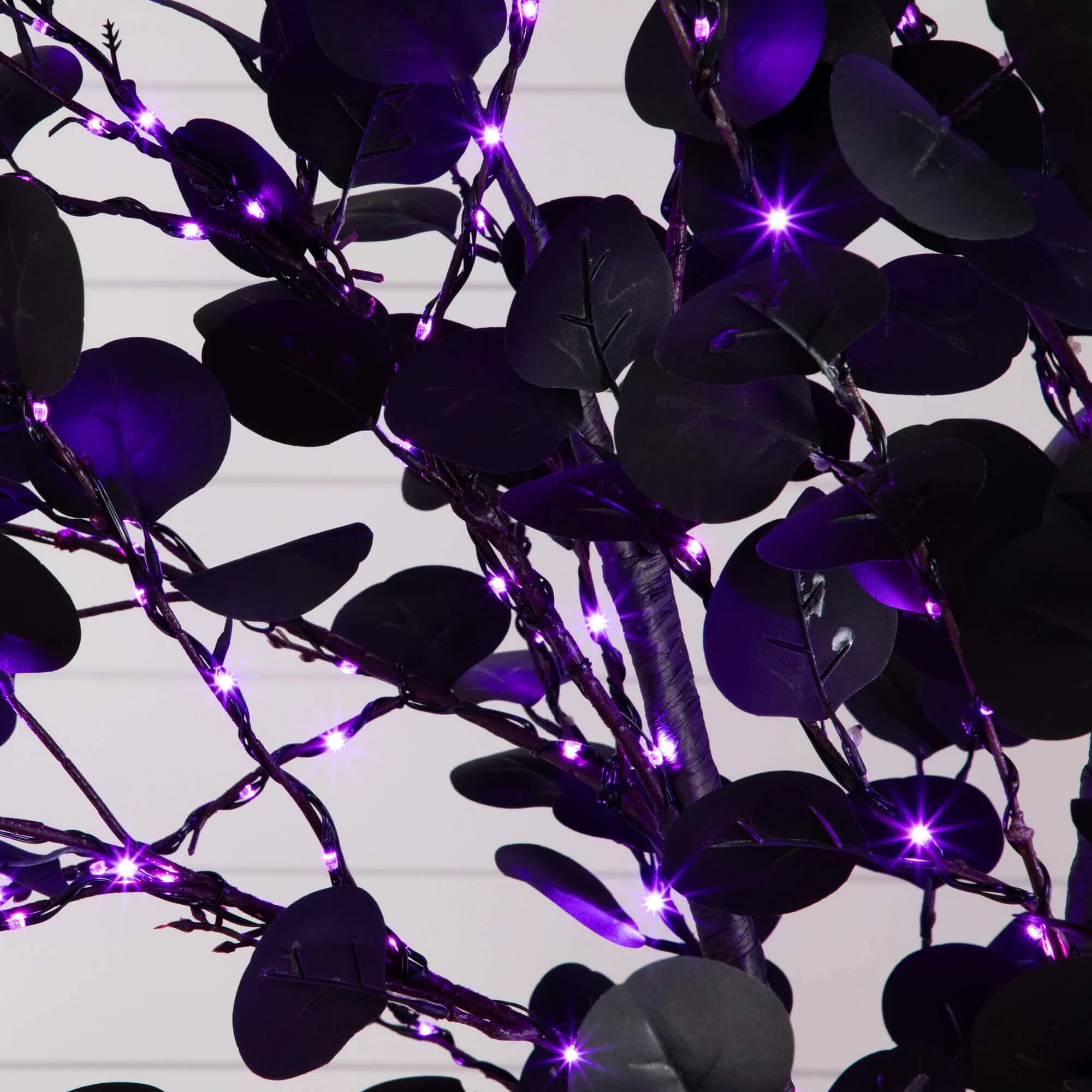 8' Pre-Lit Artificial Halloween Black Eucalyptus Tree with 540 Orange & Purple LED Lights - Image 2