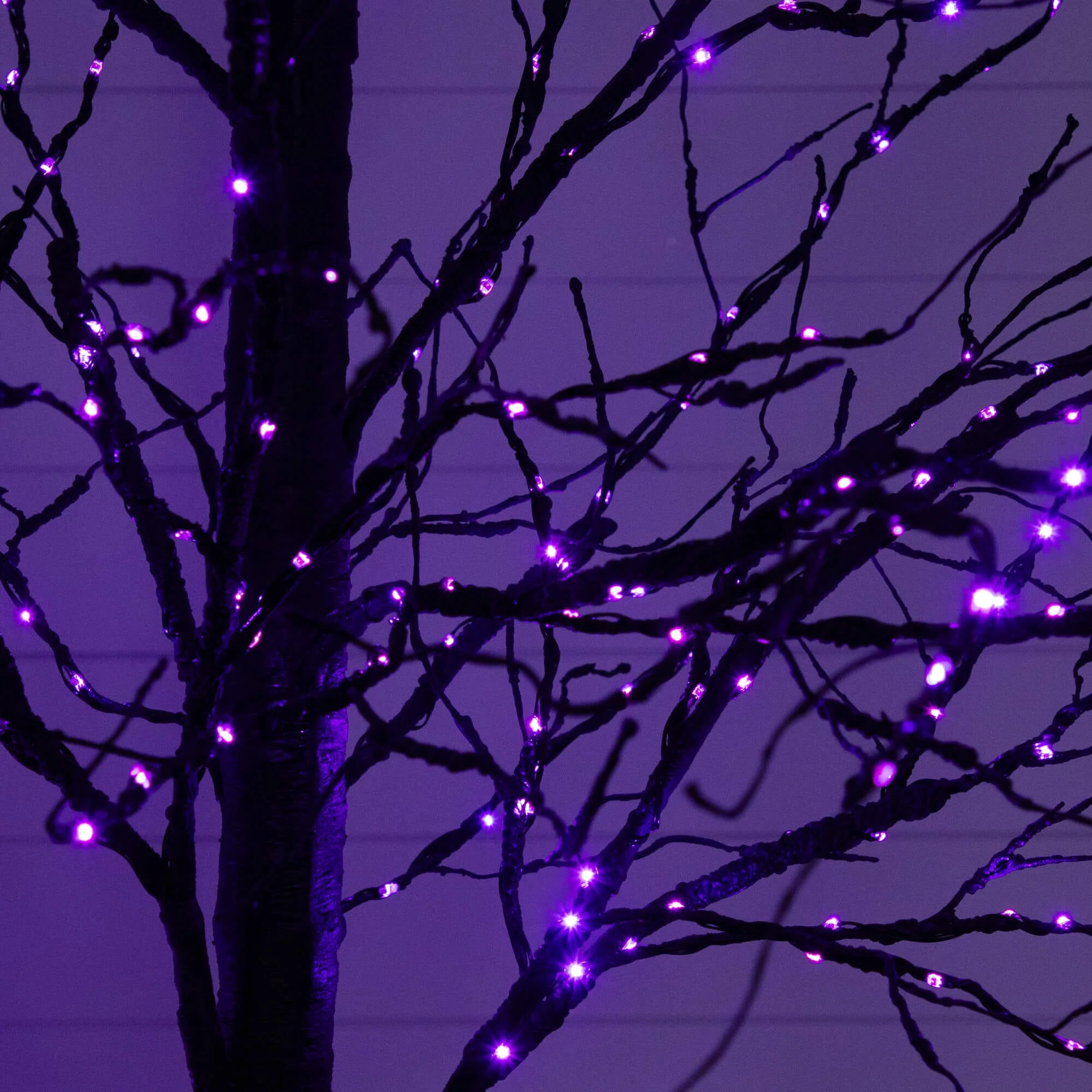 8' Pre-Lit Halloween Black Twig Artificial Tree with 510 Orange & Purple LED Lights - Image 2