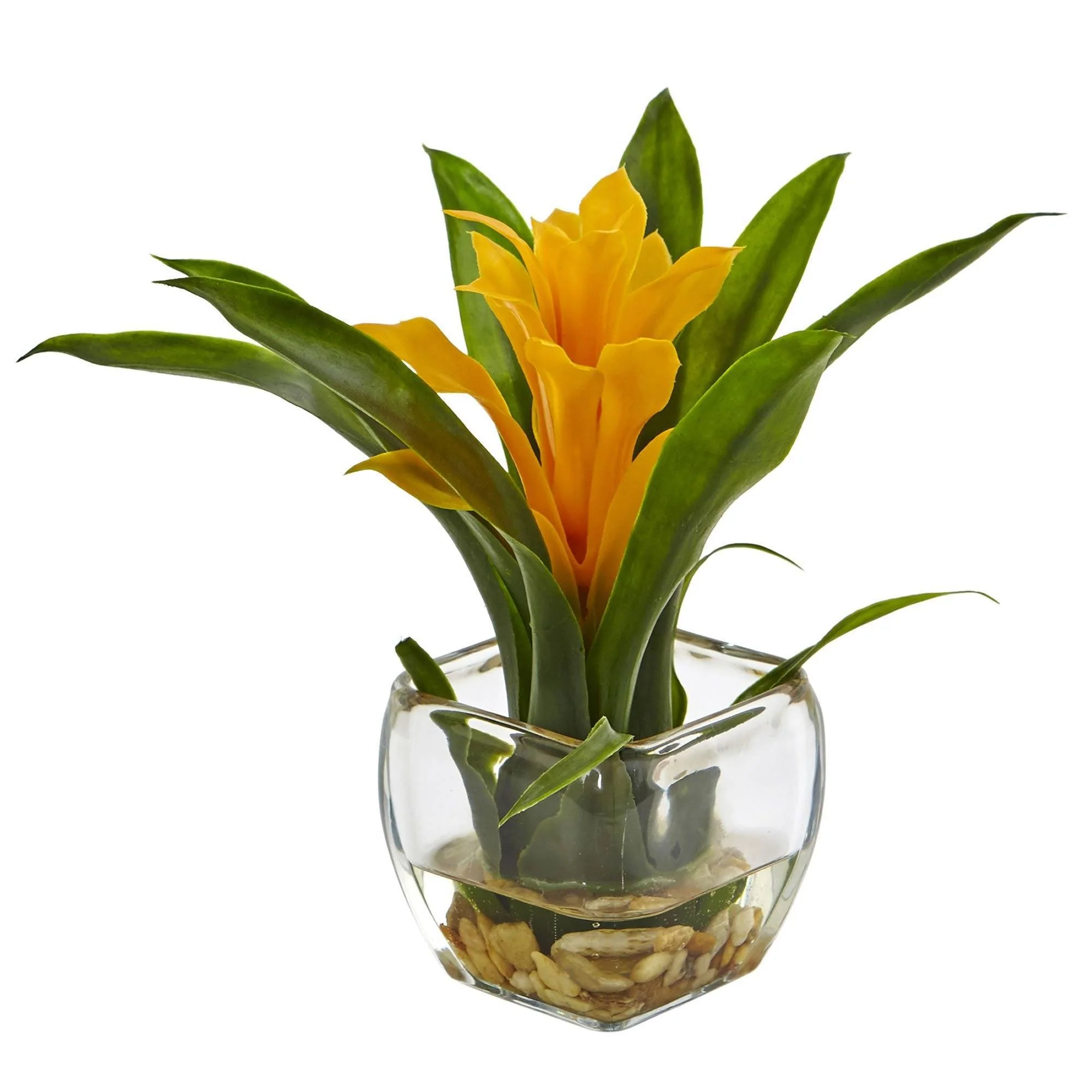 Bromeliad with Vase Arrangement (Set of 2) - Image 3