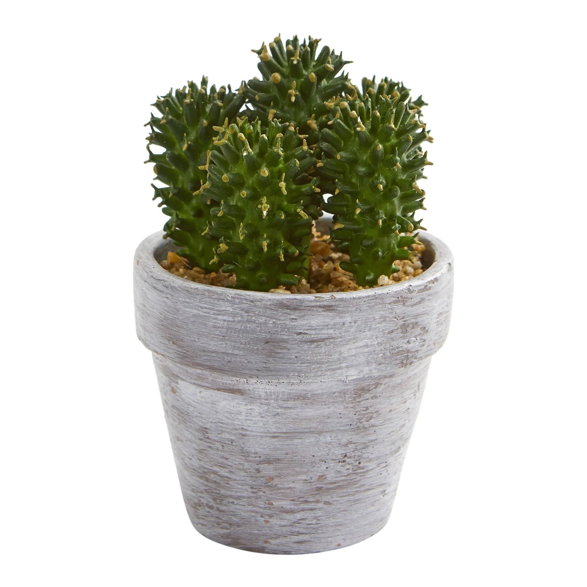 8” Cactus Artificial Plant (Set of 3) - Image 4