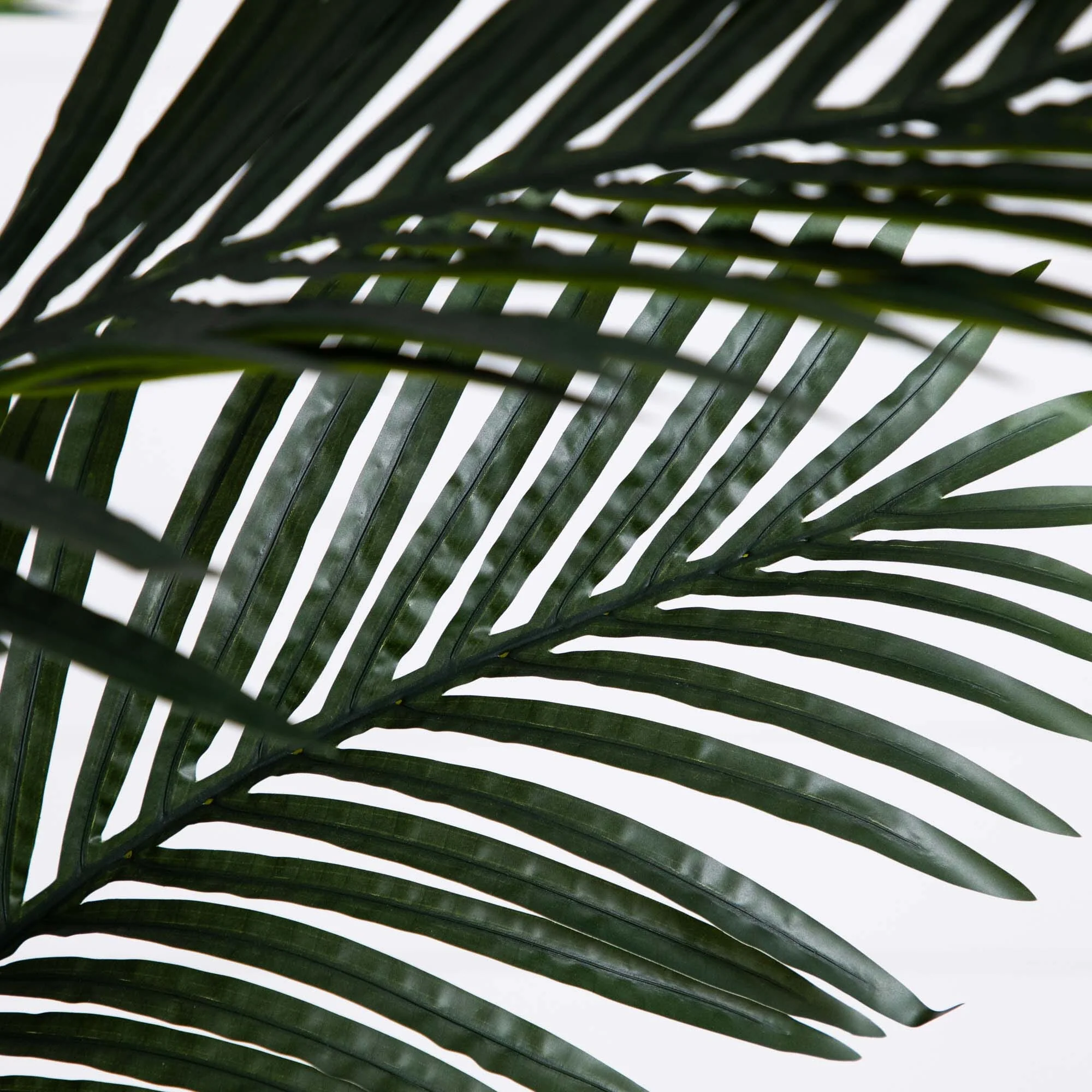 8’ Golden Cane Artificial Palm Tree in Handmade Natural Cotton Planter - Image 2