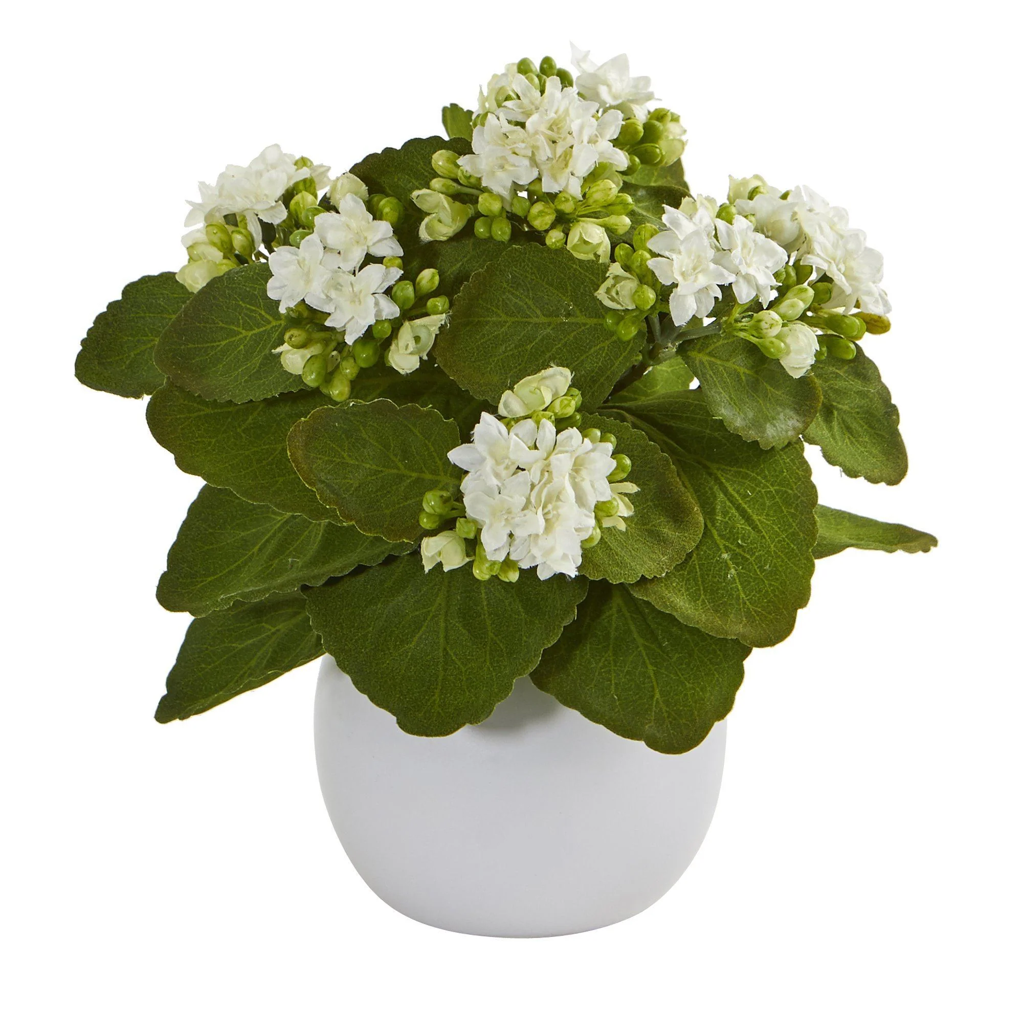 8” Kalanchoe Artificial Plant in White Vase (Set of 3) - Image 13
