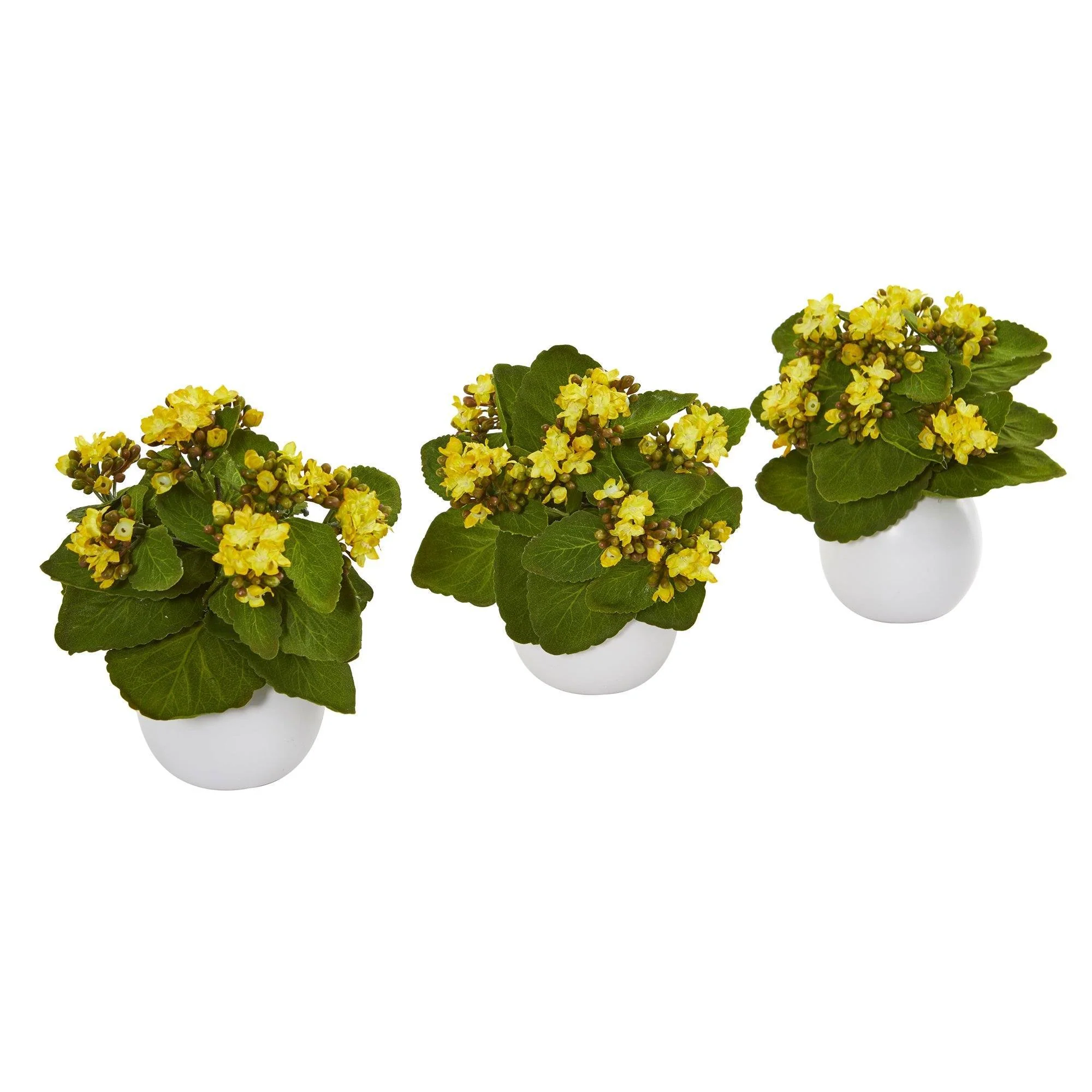 8” Kalanchoe Artificial Plant in White Vase (Set of 3) - Image 15