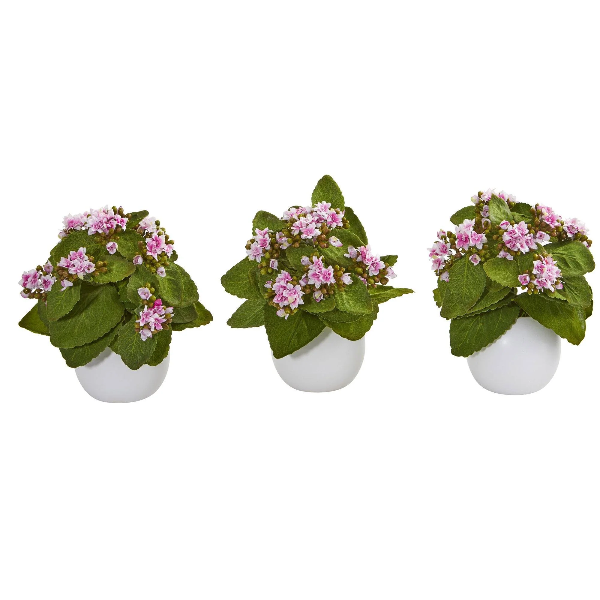 8” Kalanchoe Artificial Plant in White Vase (Set of 3) - Image 2