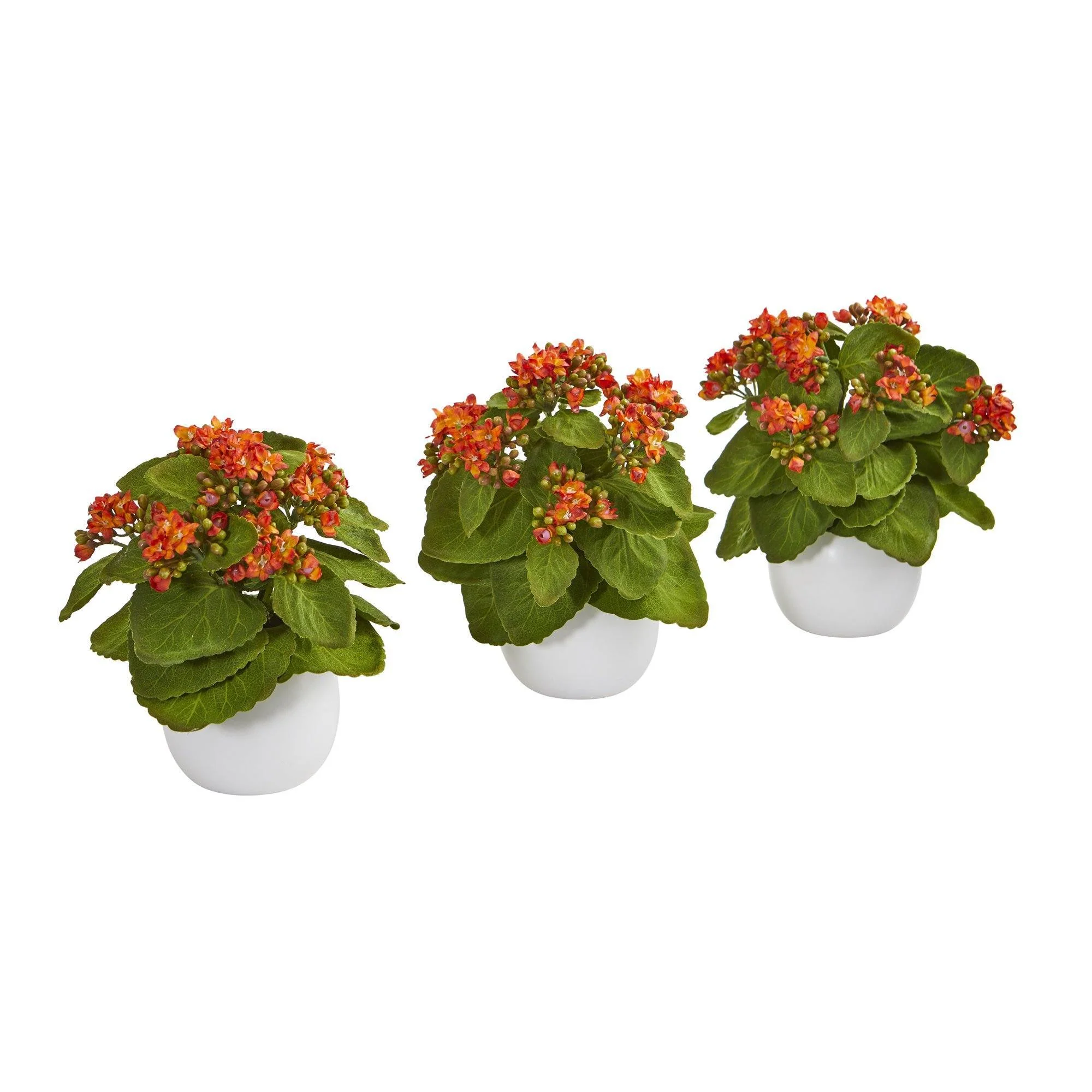 8” Kalanchoe Artificial Plant in White Vase (Set of 3) - Image 5
