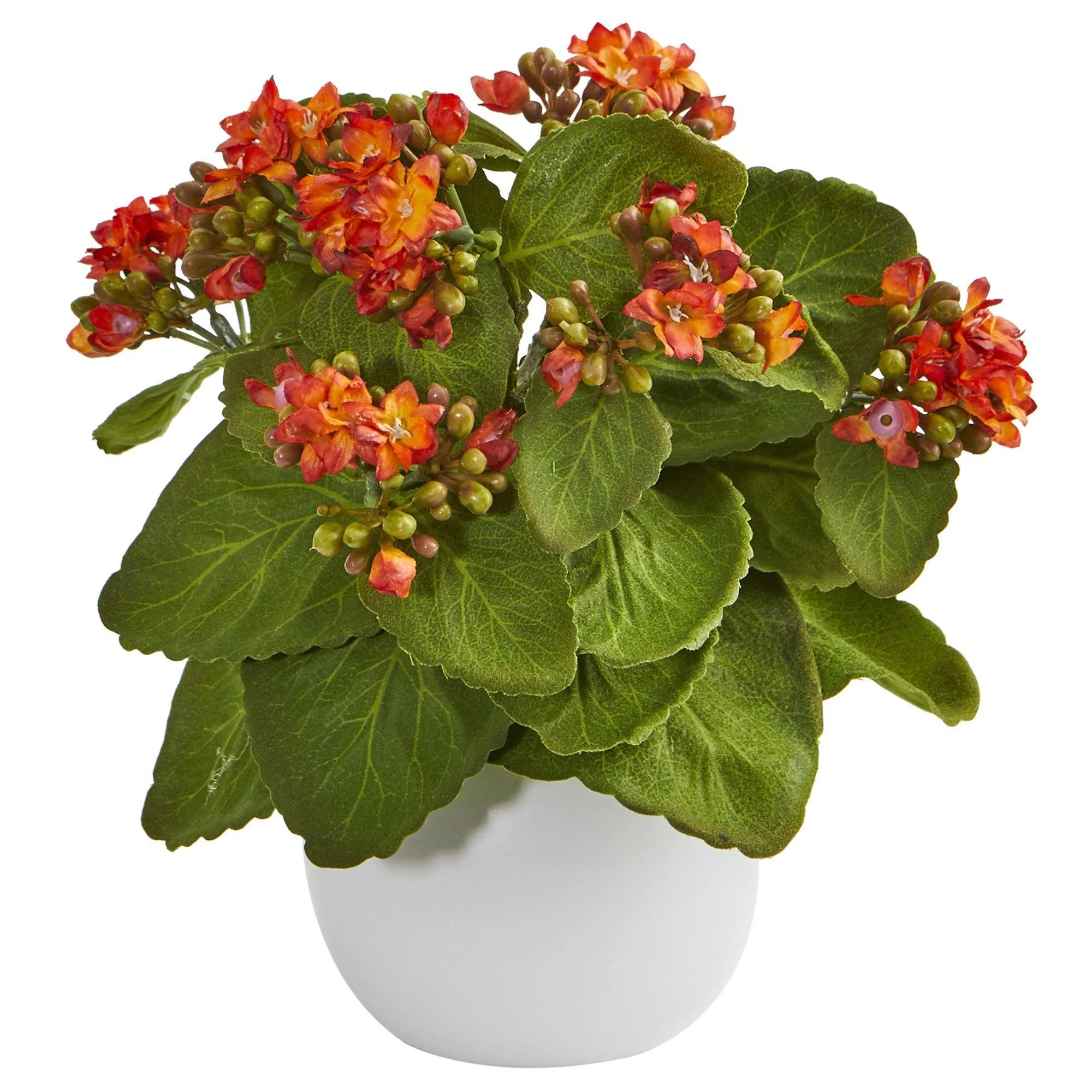 8” Kalanchoe Artificial Plant in White Vase (Set of 3) - Image 7