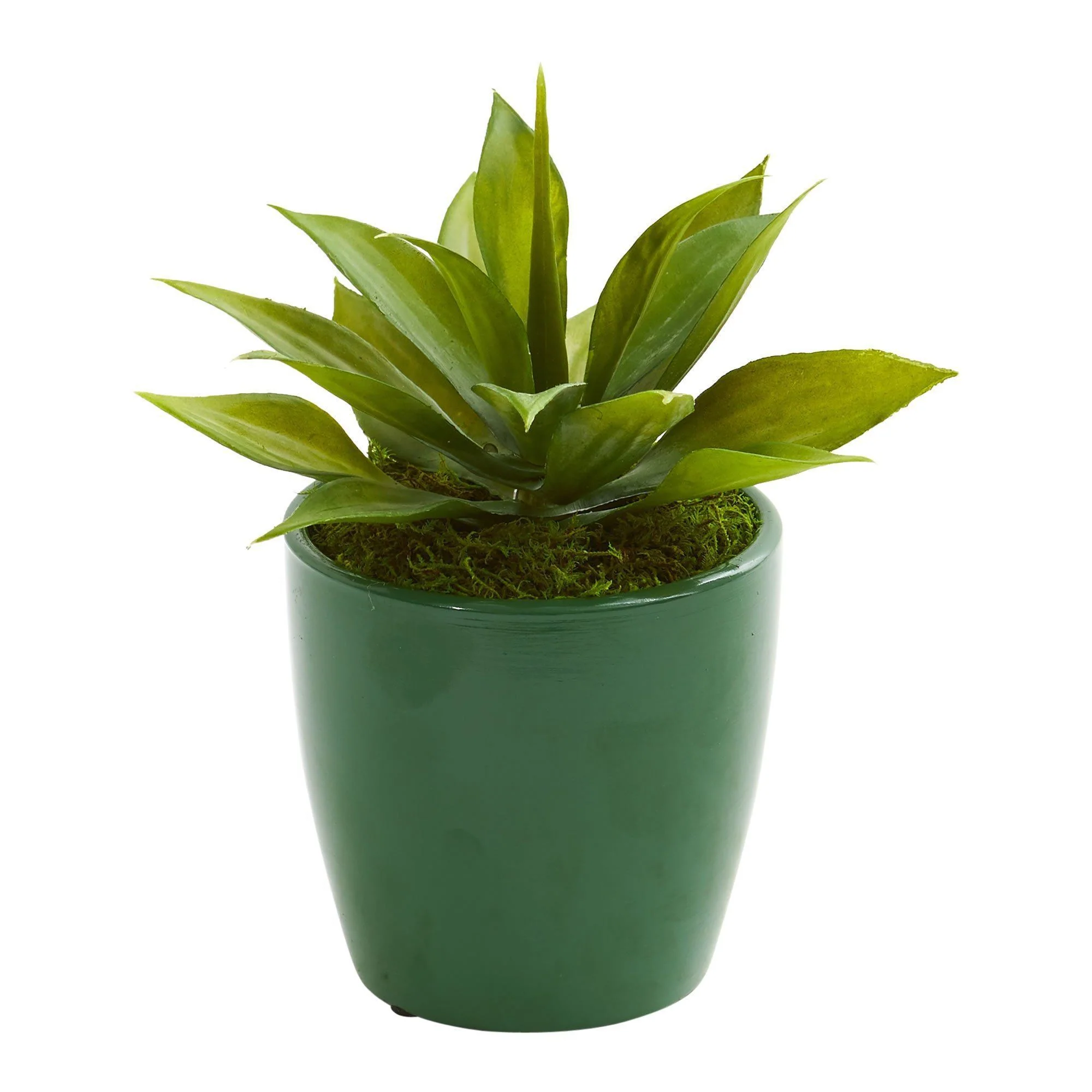Mini Agaves Artificial Plant in Green Planter (Set of 3) - Image 4