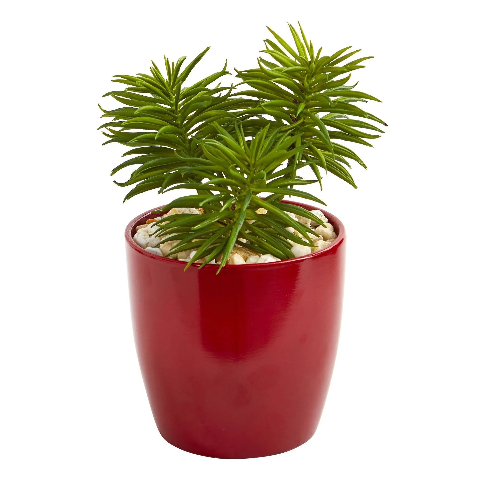 8” Mixed Succulent Artificial Plant in Red Vase (Set of 3) - Image 3