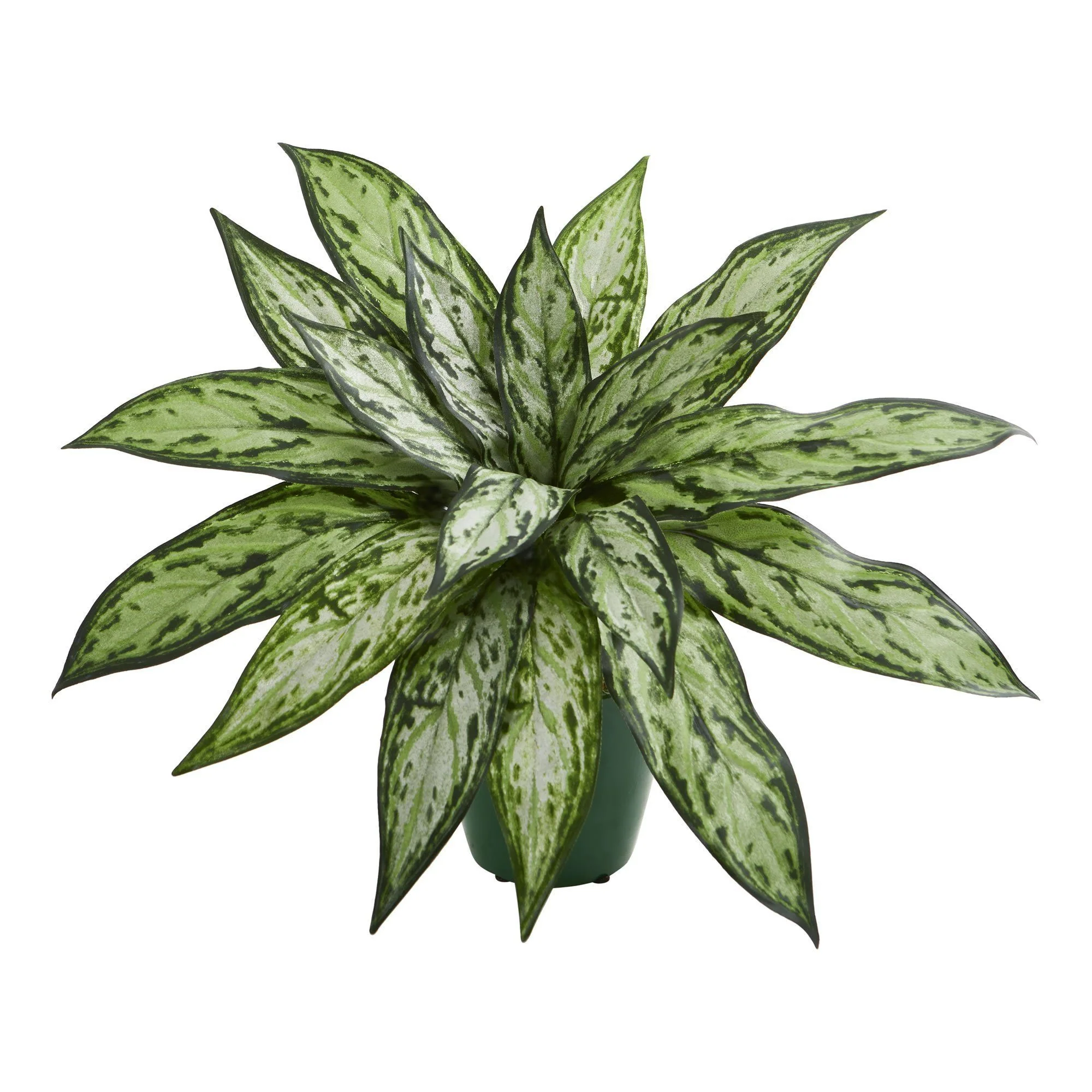 Silver Queen Artificial Plant in Green Planter (Set of 2) - Image 2