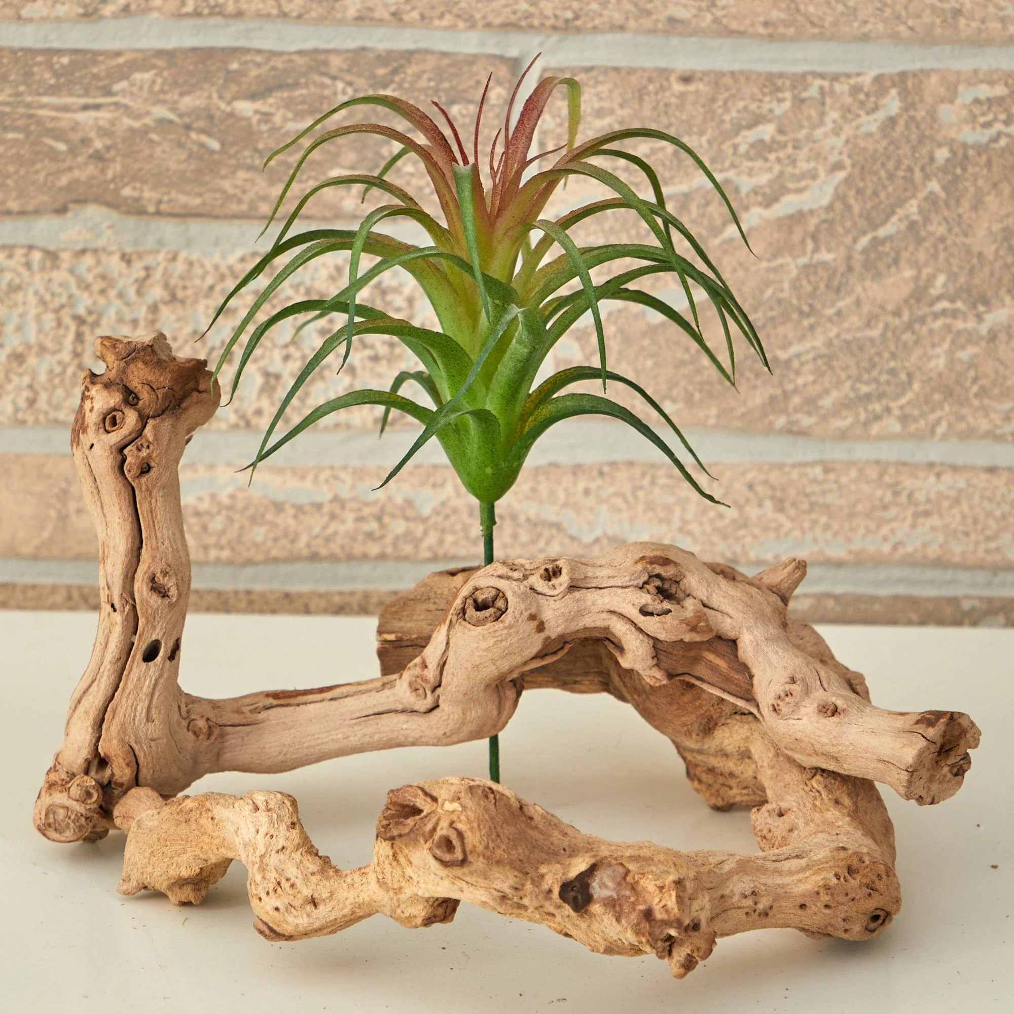 8” Tillandsia Artificial Flower (Set of 12) - Image 2