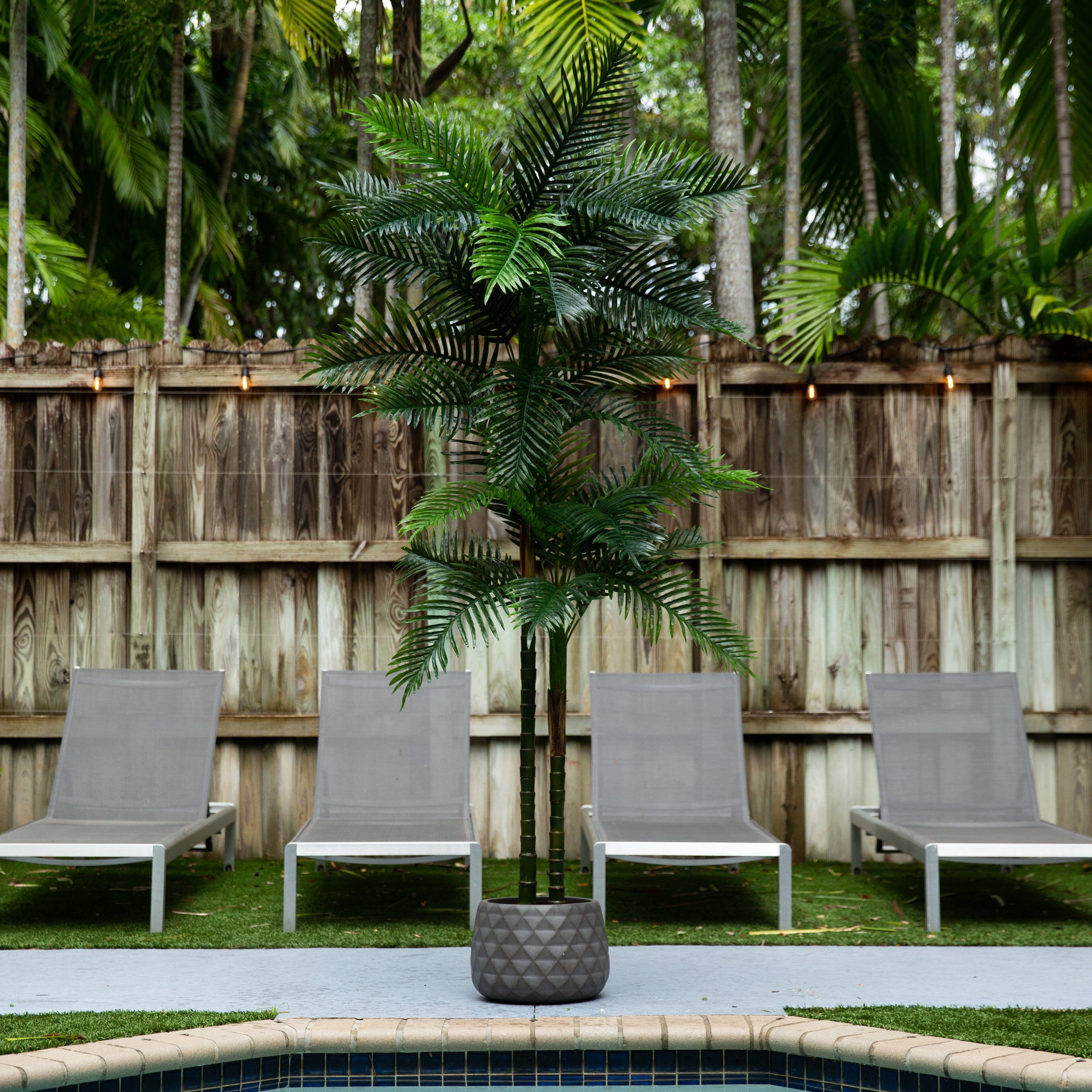 8’ UV Resistant Artificial Double Robellini Palm Tree (Indoor/Outdoor) - Image 3