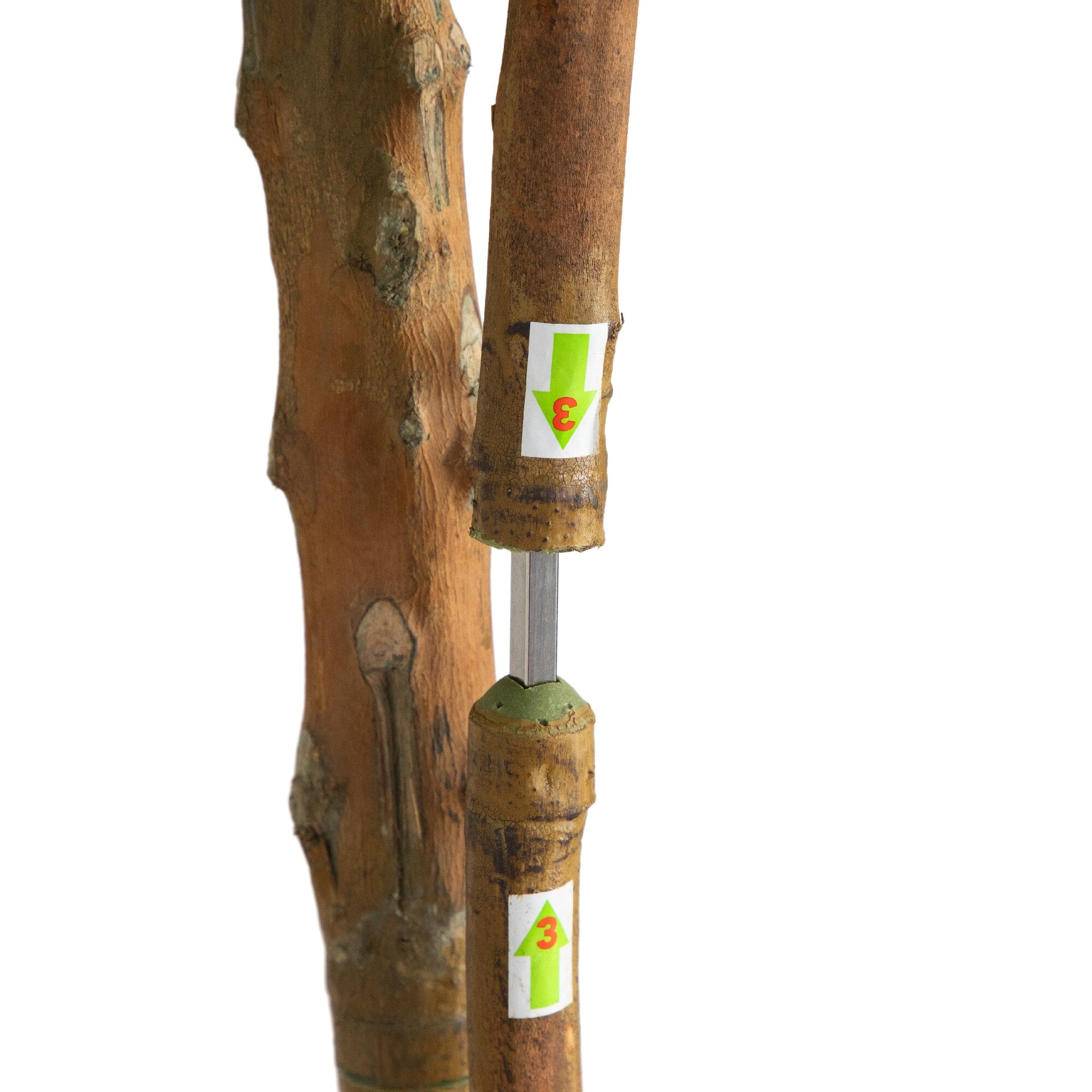 8’ Willow Artificial Tree  (Real Touch) - Image 5