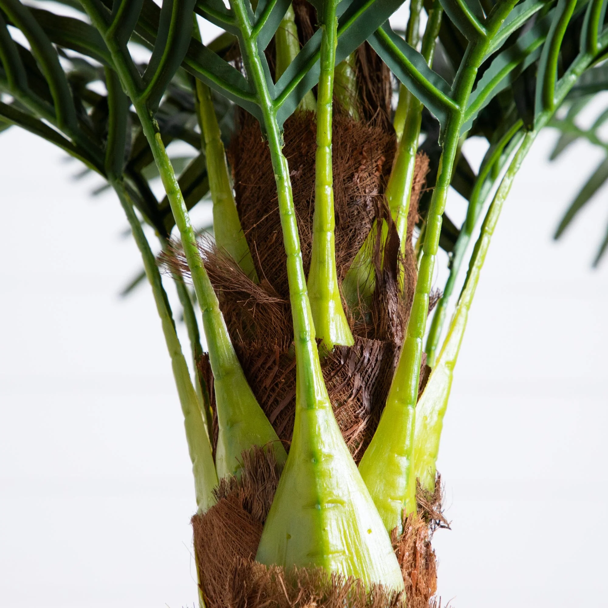 6' Robellini Palm Artificial Tree - Image 3