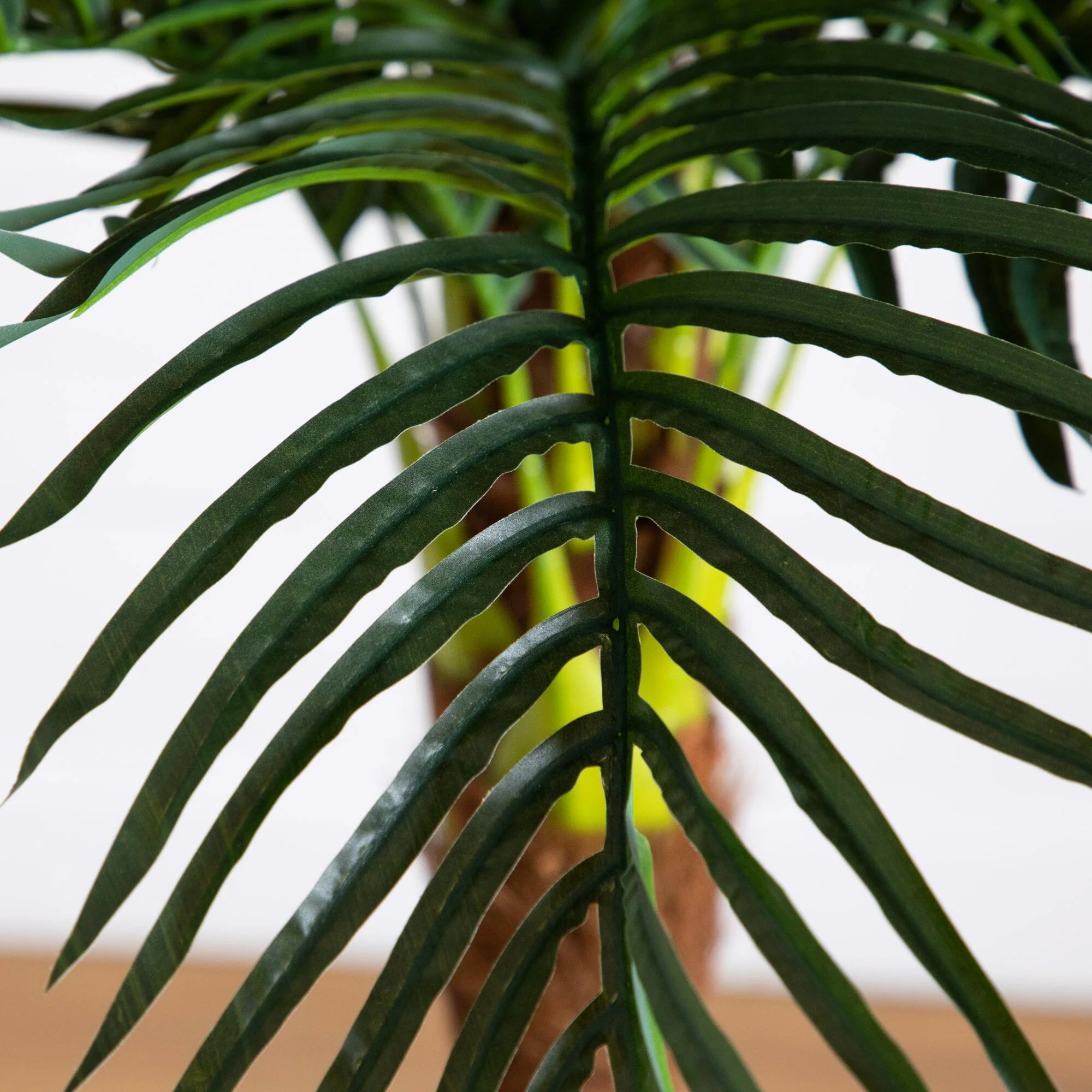 6' Robellini Palm Artificial Tree - Image 4