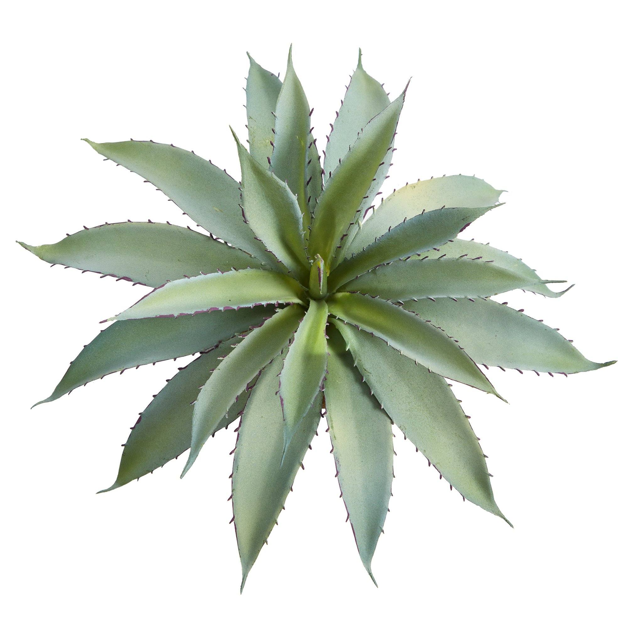 9” Aloe Succulent Artificial Plant - Image 3