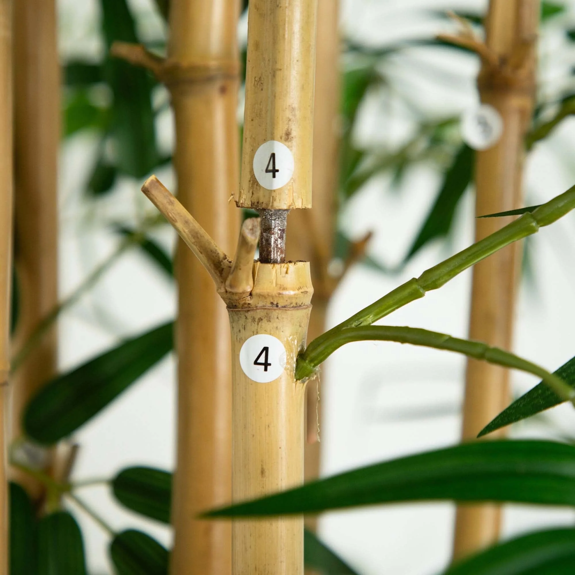 9’ Artificial Bamboo Tree with Real Bamboo Trunks - Image 6