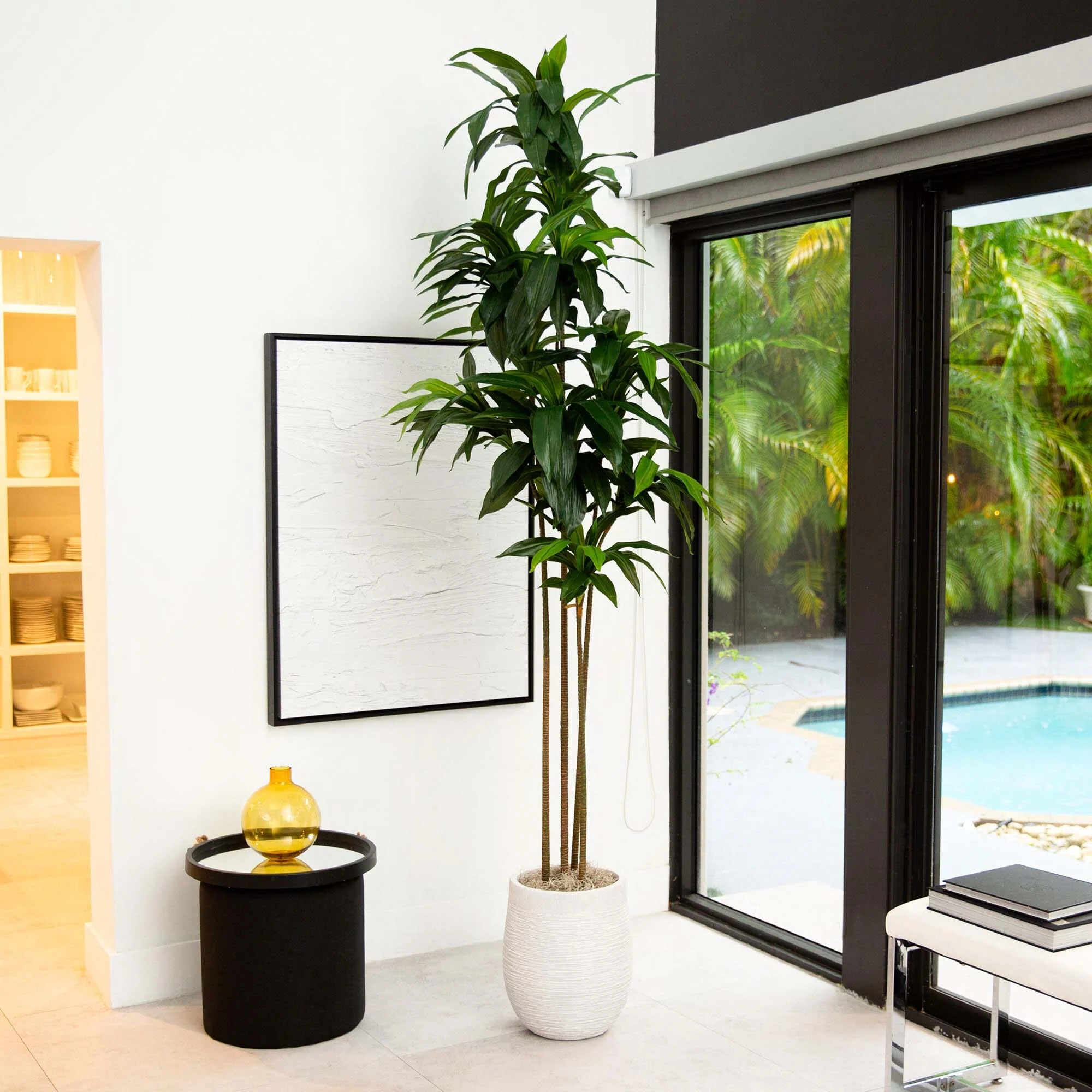 9’ Artificial Dracaena Tree with Real Touch Leaves - Image 3