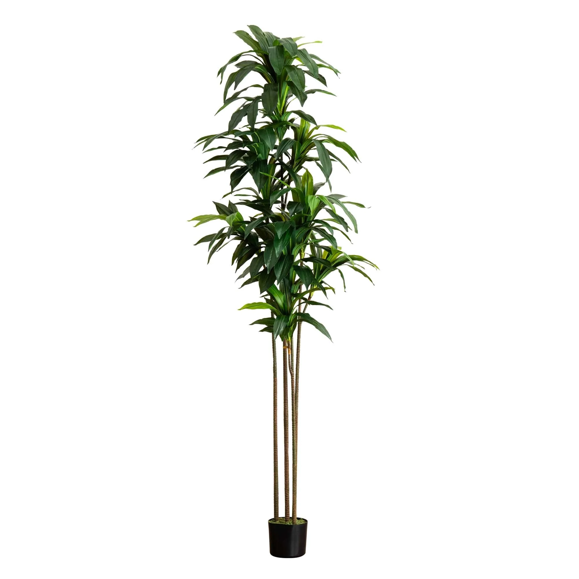 9’ Artificial Dracaena Tree with Real Touch Leaves - Image 5
