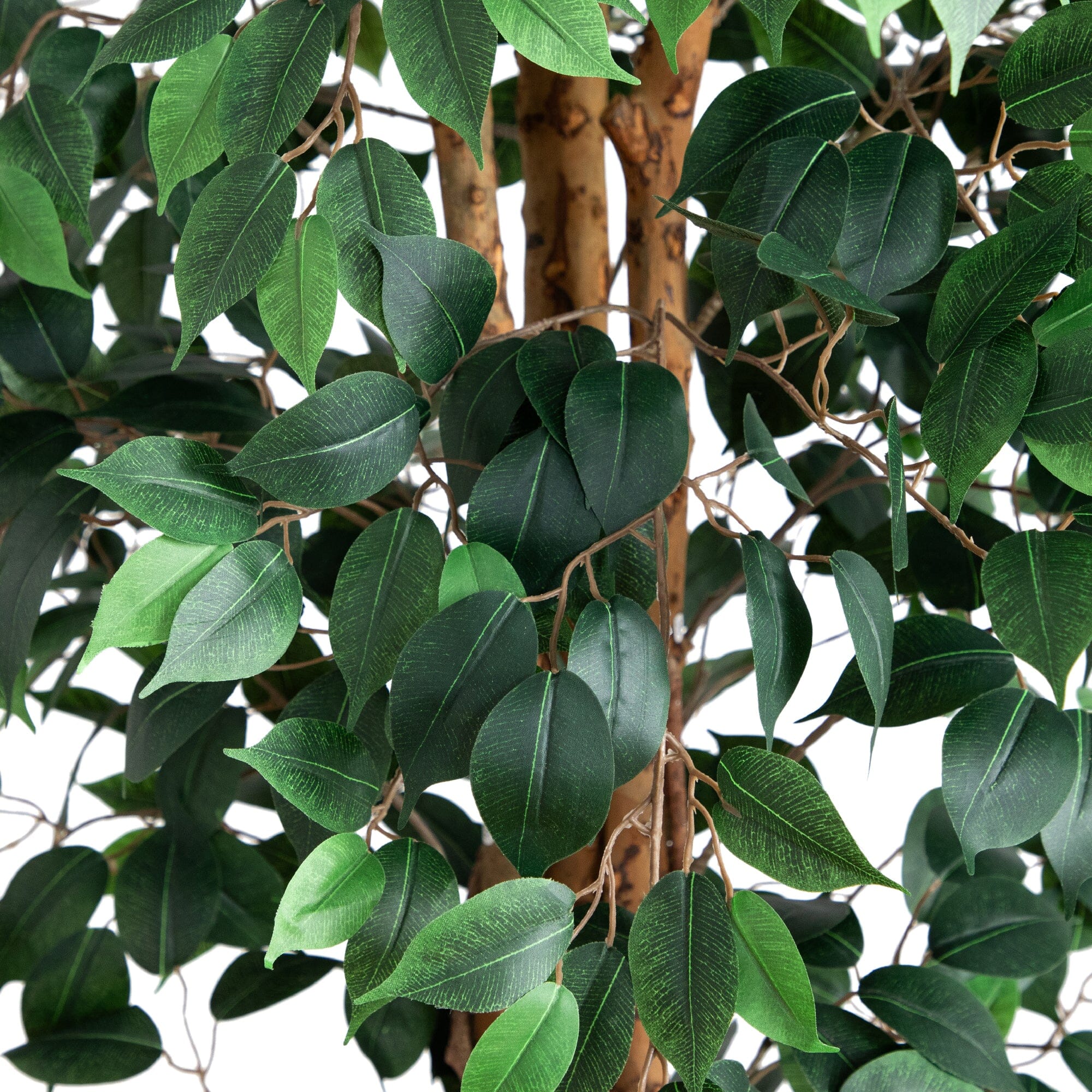 9’ Artificial Ficus Tree with Natural Trunk - Image 2