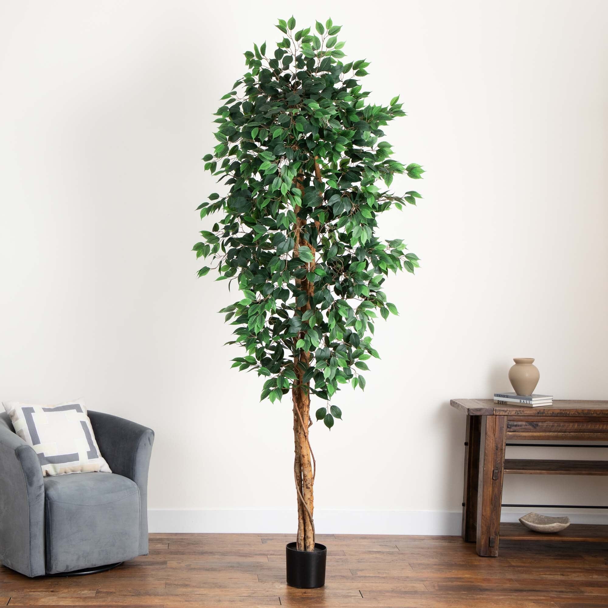 9’ Artificial Ficus Tree with Natural Trunk - Image 3