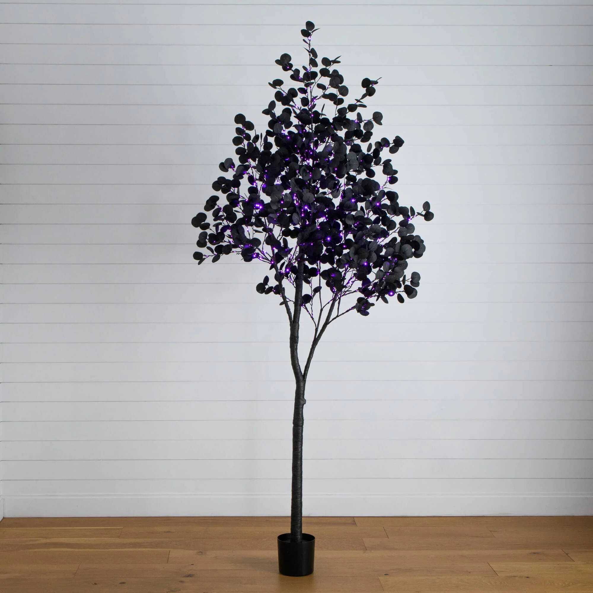 9' Pre-Lit Artificial Halloween Black Eucalyptus Tree with 700 Orange & Purple LED Lights
