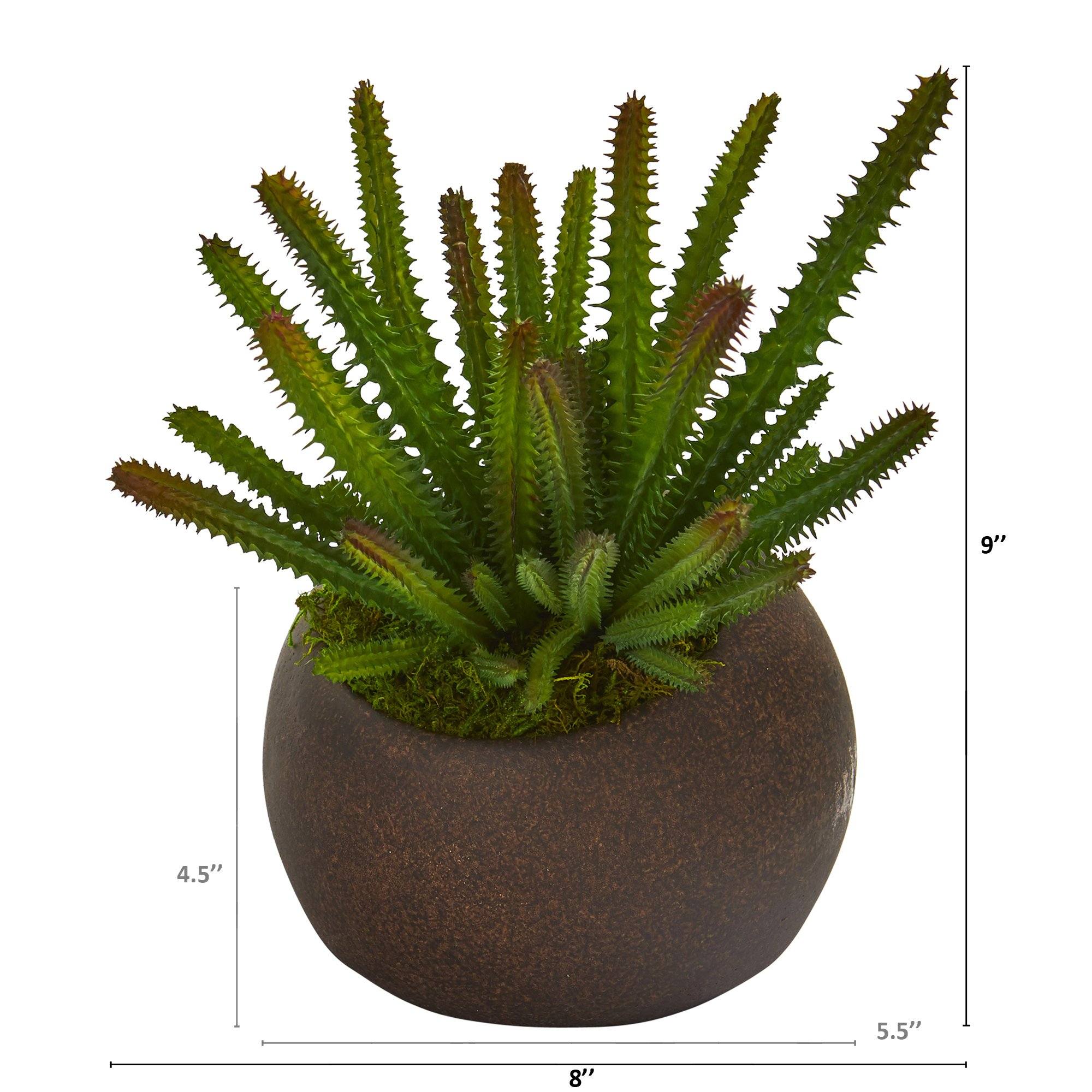 9” Cactus Succulent Artificial Plant in Stone Planter - Image 2