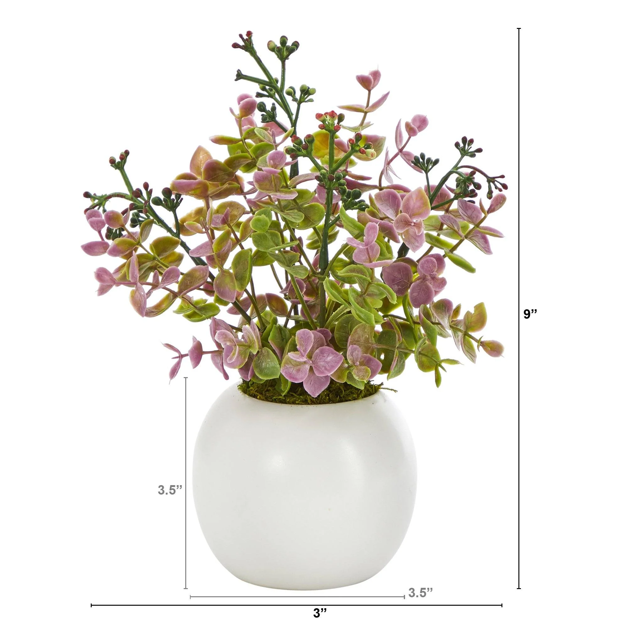 9” Eucalyptus and Sedum Succulent Artificial Plant in White Planter - Image 2